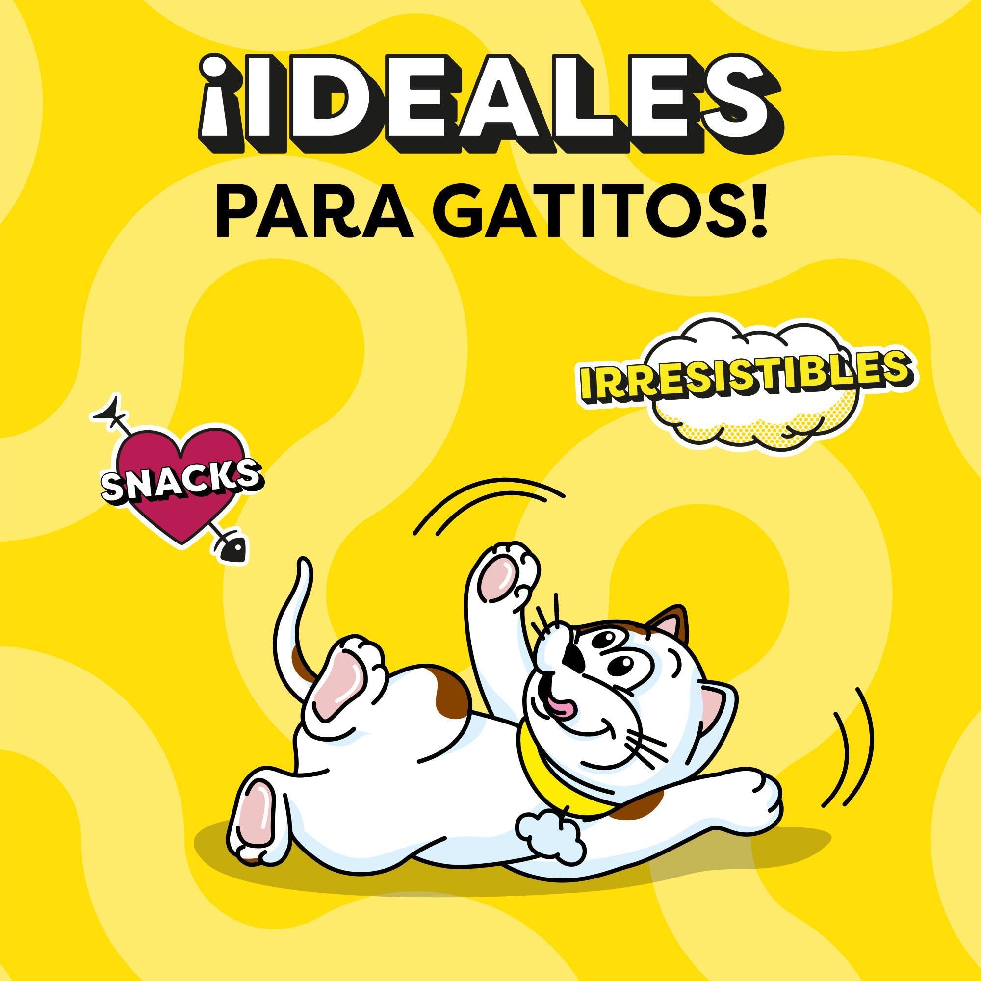 Catisfactions Premios para Gatos Sabor Aves a la Brasa 6x55g