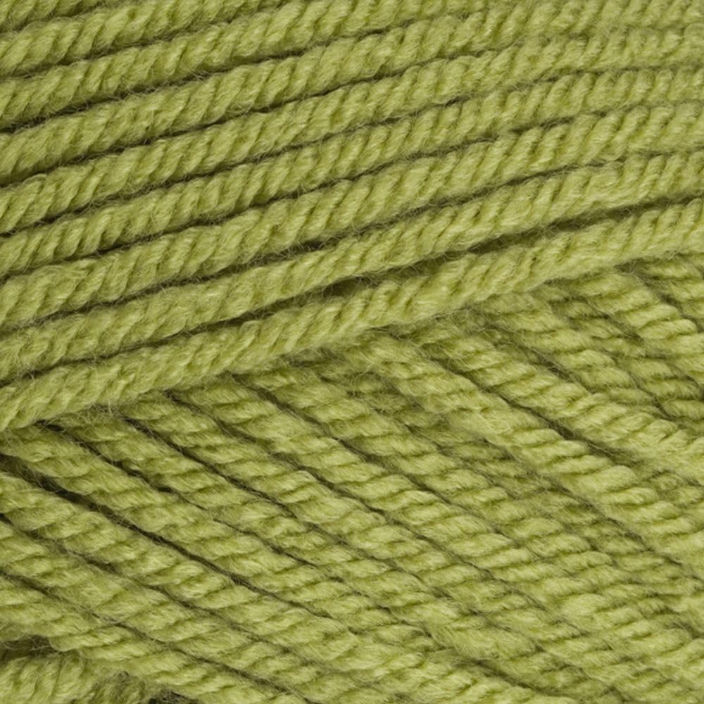 Stylecraft 9061065 Special Chunky Meadow (1065) Yarn - 100g