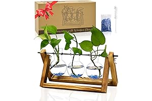 Nacome Grandma Vase: A Plant Haven for Your Loved One