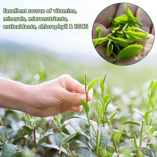 Miniatura 3 de Spicefun Té verde Matcha en polvo 8.8 onzas (8.82 oz), 100% puro y de primera cosecha té verde, grado culinario, sin sabor, sin OMG, sin