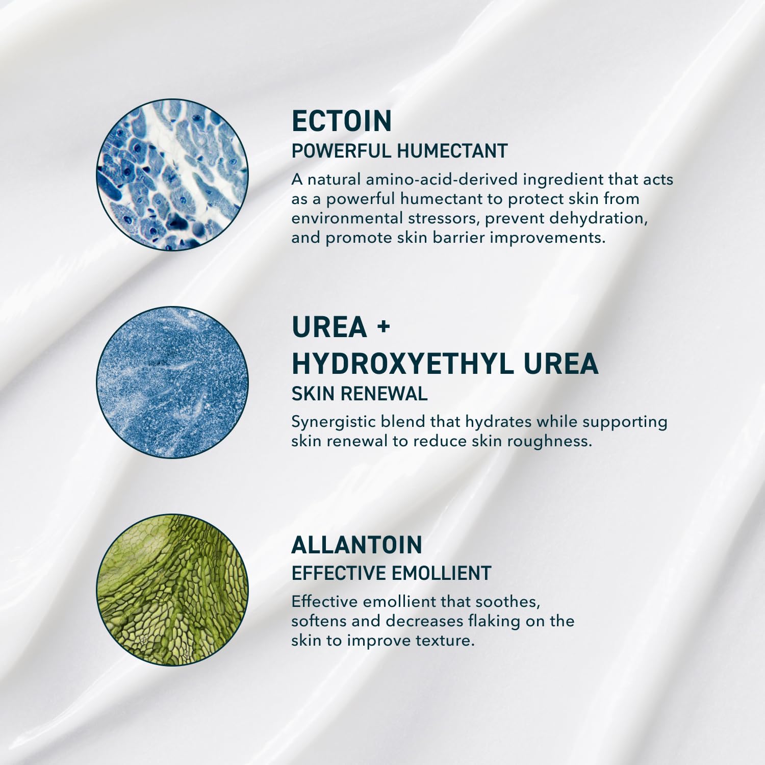 Prequel Reactive Skin Solutions - Soothing, Hydrating Face Moisturizer for Sensitive Skin. Barrier Support Cream with 5% Ectoin, Urea, and Allantoin for Extreme Dryness, Calming and Renewal - Image 3