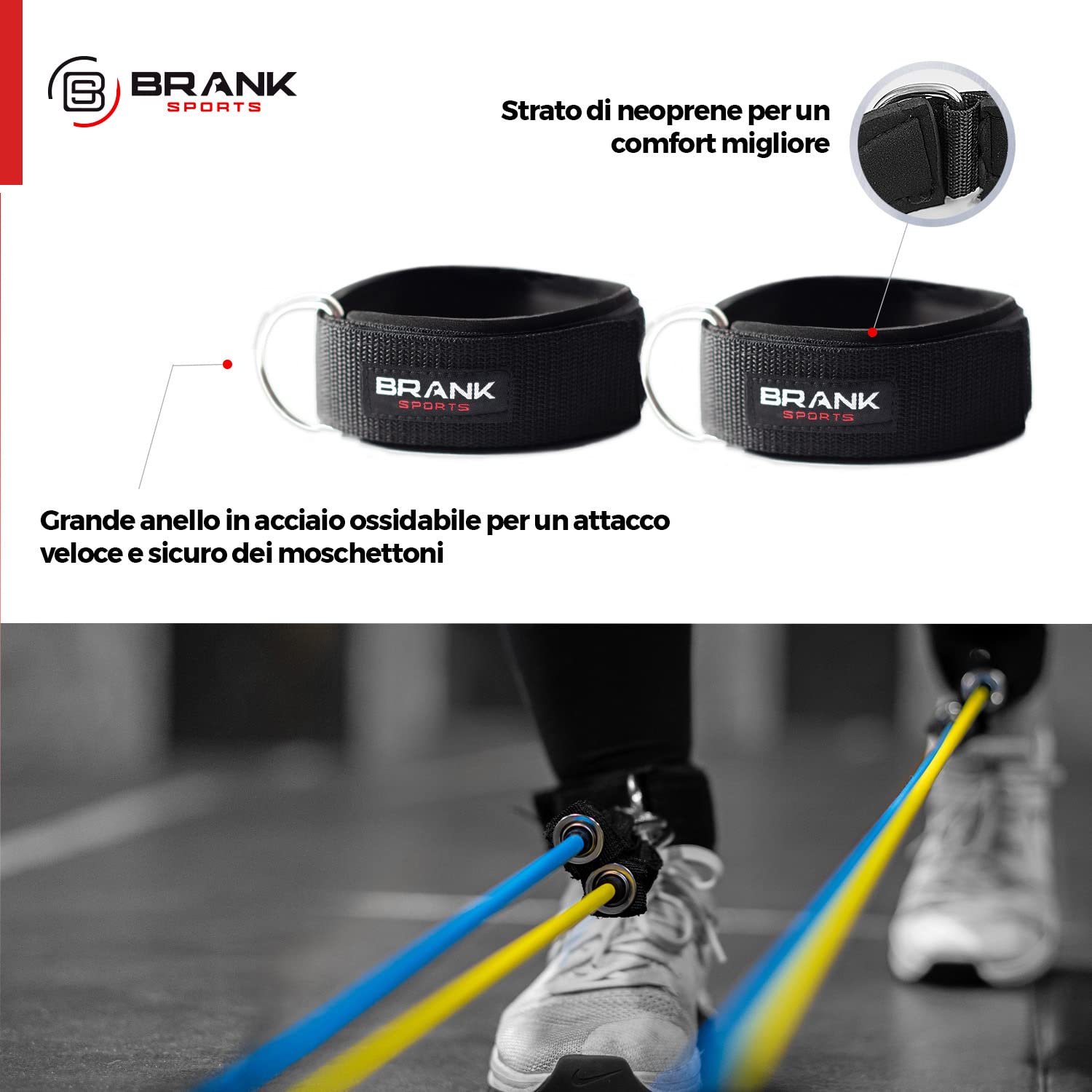 Elastici Fitness Set - Bande Elastiche Fitness Con Maniglie Palestra - Elastico Fitness Donna e Uomo - Guida Di Allenamento Inclusa