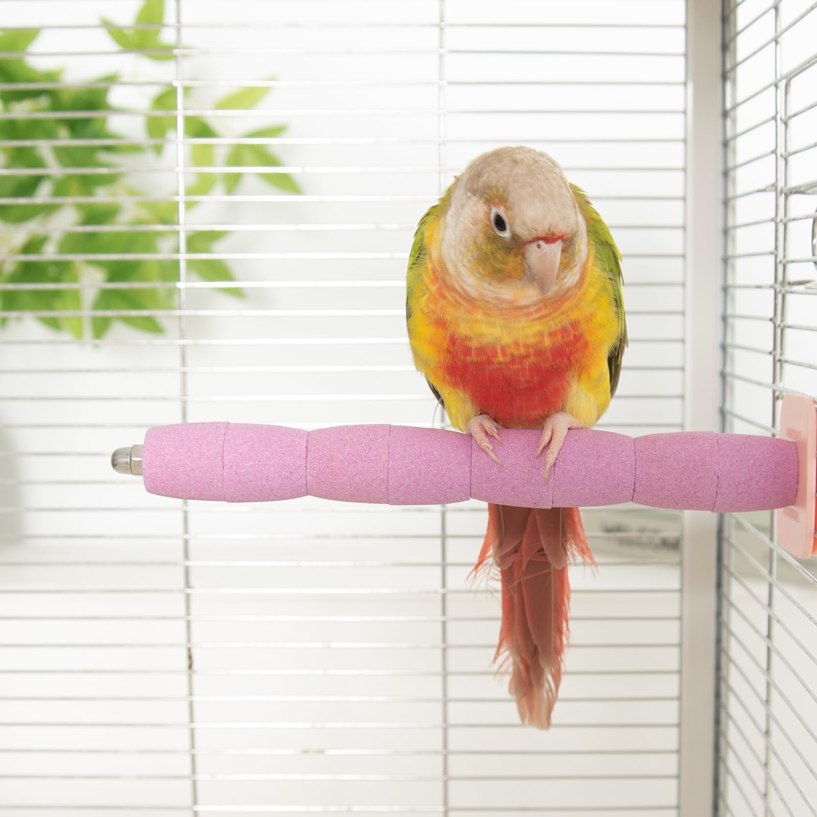 YOOSO WING Bird Perch Stand Toy – Abrasive Surface Ceramic Paw Grinding Stick – Parrot Nail File for Budgies Parakeets Cockatiels Conures Bird Cage