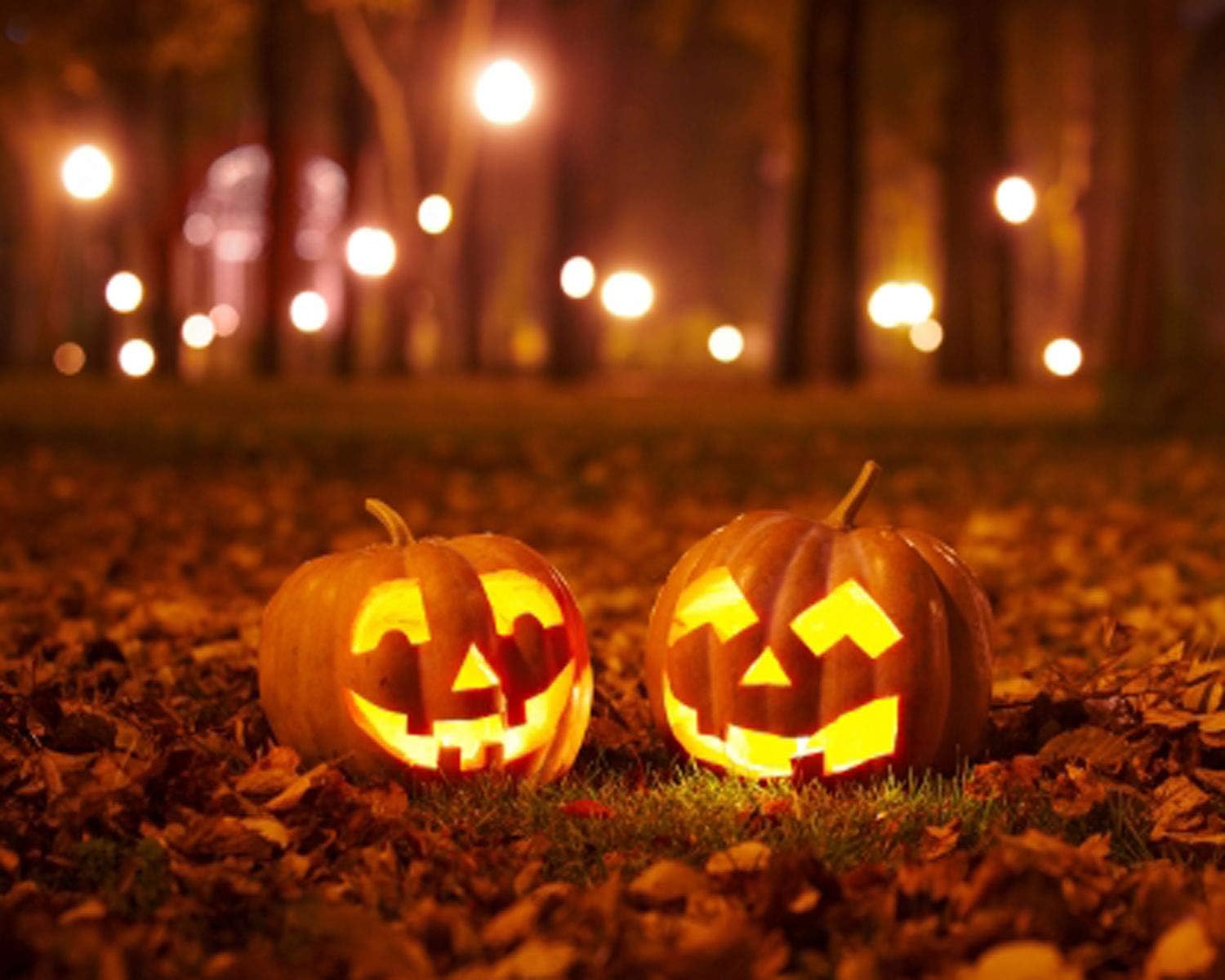 Amazon Co Jp 5x7フィート ハロウィン ホラー ナイトバックドロップ 写真背景 ハロウィン ミステリー 夜 月 鉄門 写真 背景 スタジオ小道具 7x5ft 2 1x1 5m D0191 Cn Lxw001 家電 カメラ