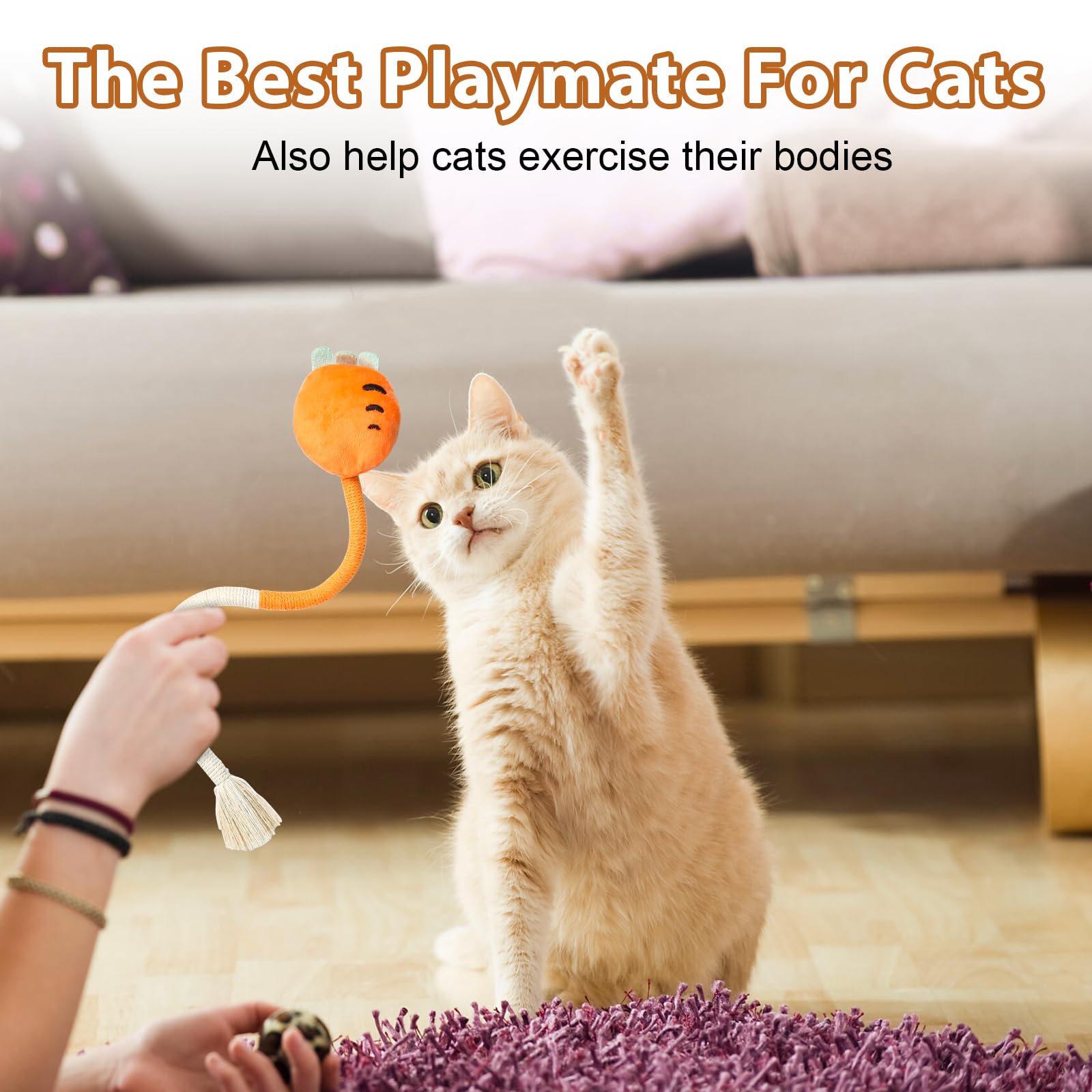Hnjindong Catnip Toys for Cats Indoor Adult 4Pcs Bite Rope Cat Toys Interactive for Kitten Safe Teeth Cleaning Chew Cats Toy - Image 2