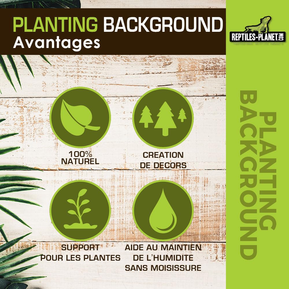 Rettili Planet Decorazione di Fondo in Cocco per terrario per Planter 40 x 40 x 1 cm