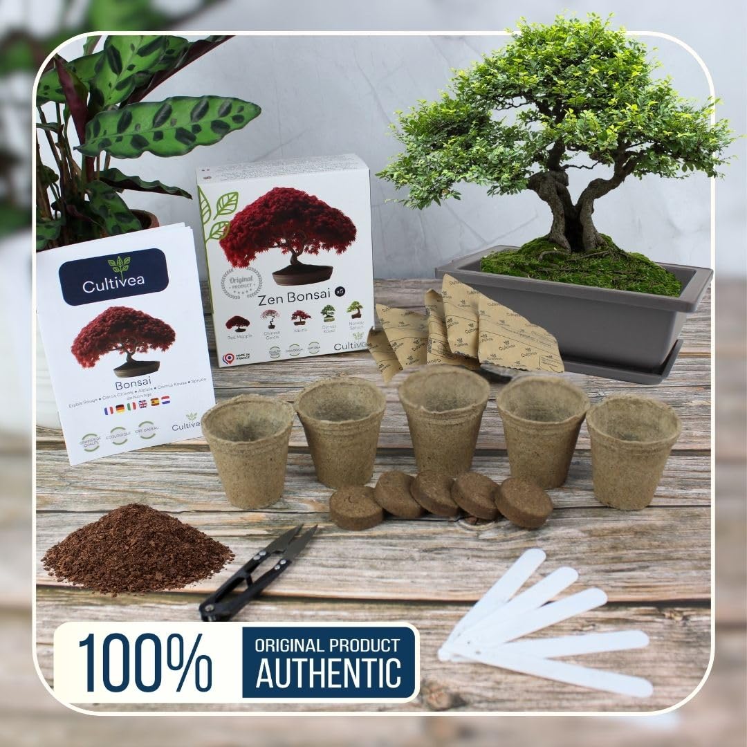 Cultivea® – Coffret duo bonsaï : duo bonsaï mini kit prêt à pousser 6 bonsaïs + lot de 32 outils en acier – Culture & entretien complet – Ciseaux, pinces, fil aluminium – Idée cadeau originale jardin