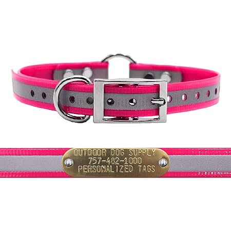 outdoor dog supply collars