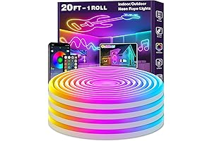 LED Neon Rope Lights: Light Up Your World with App/Remote Control