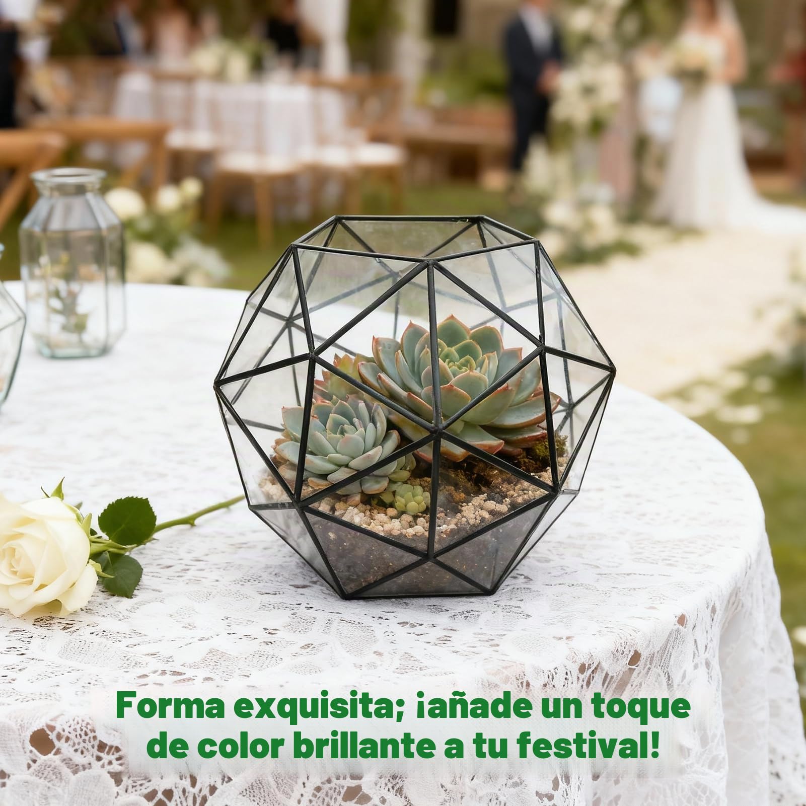 Terrario geométrico Maceta Maceta de Vidrio Contenedor Planta de Aire Exhibición para suculentas Balcón Mesa Miniatura Jardín de Hadas Decoración Moderna