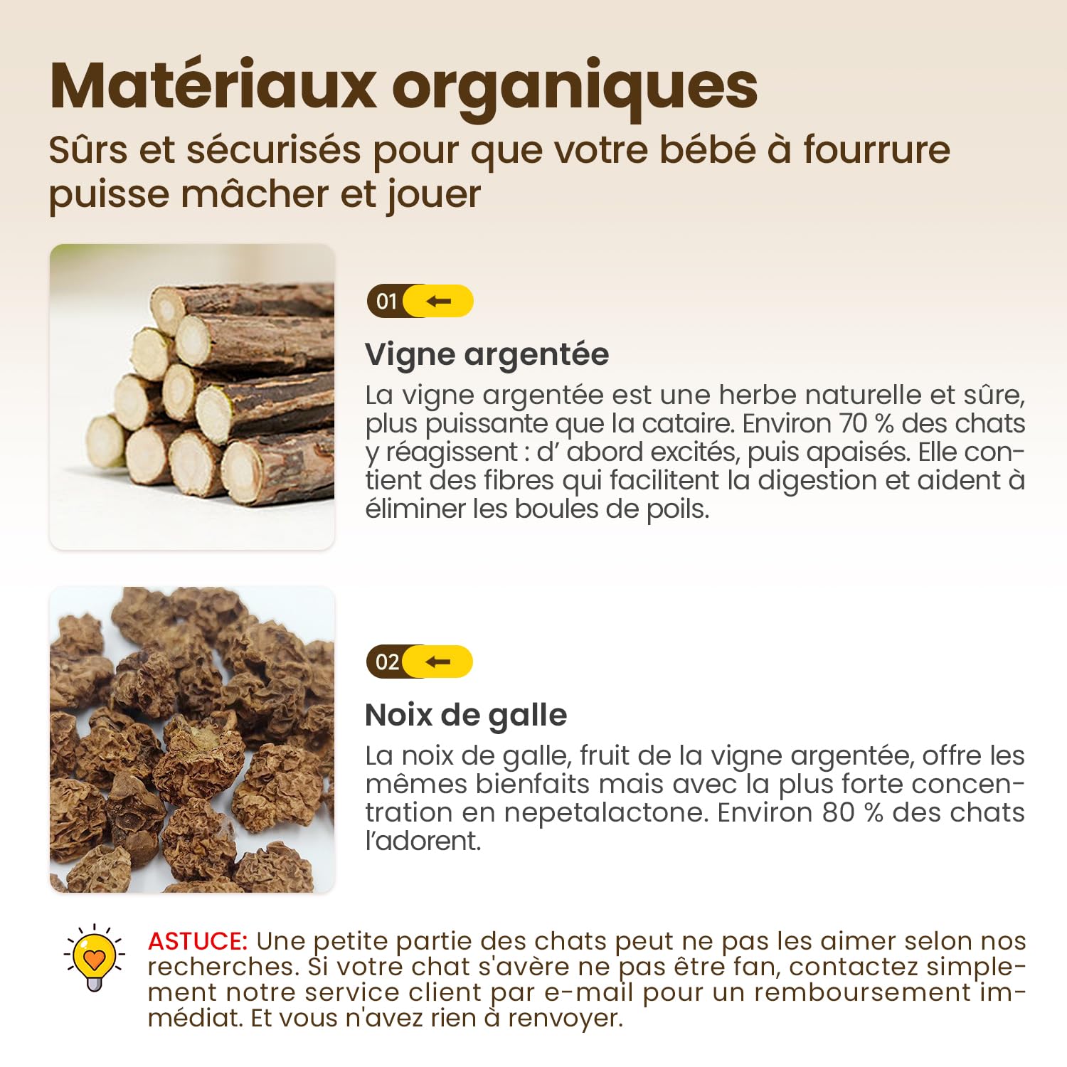 Potaroma Lot de 6 Bâtonnets Naturels pour Chats – Jouets à Mâcher avec Cataire & silvervine pour Jeu Interactif et Nettoyage des Dents