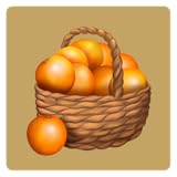 Cosechar sus frutos y la creación de botellas de jugo de naranja.