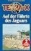 Produktbild Terra X - Auf der Fährte des Jaguars [VHS]