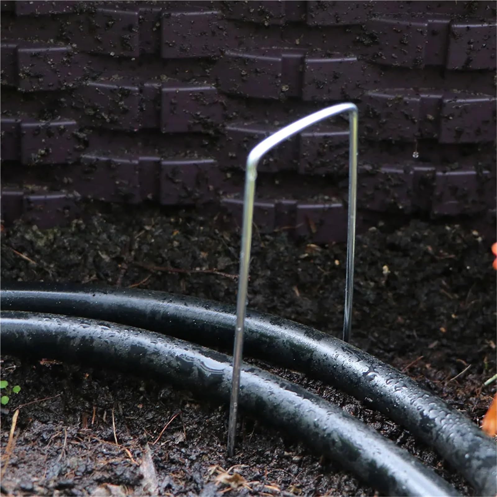 100 Pezzi di graffette da Giardino a Forma U in Acciaio Inossidabile, picchetti zincati, perni for barriera in Tessuto Anti-Erbacce, Tubi Fissaggio, Chiodi a Terra per Giardini(40mmx100mm-3mm)