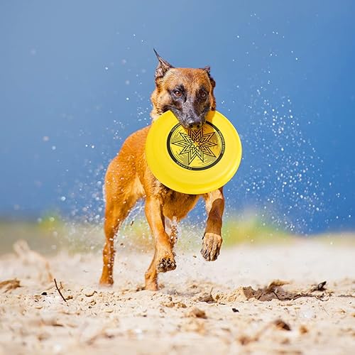 Miniatura 5 de Eastgoing Ultimate Flying Disc - Disco deportivo de 6.17 oz, 10.75 pulgadas, un montón de colores disponibles, adecuado para competiciones, disco