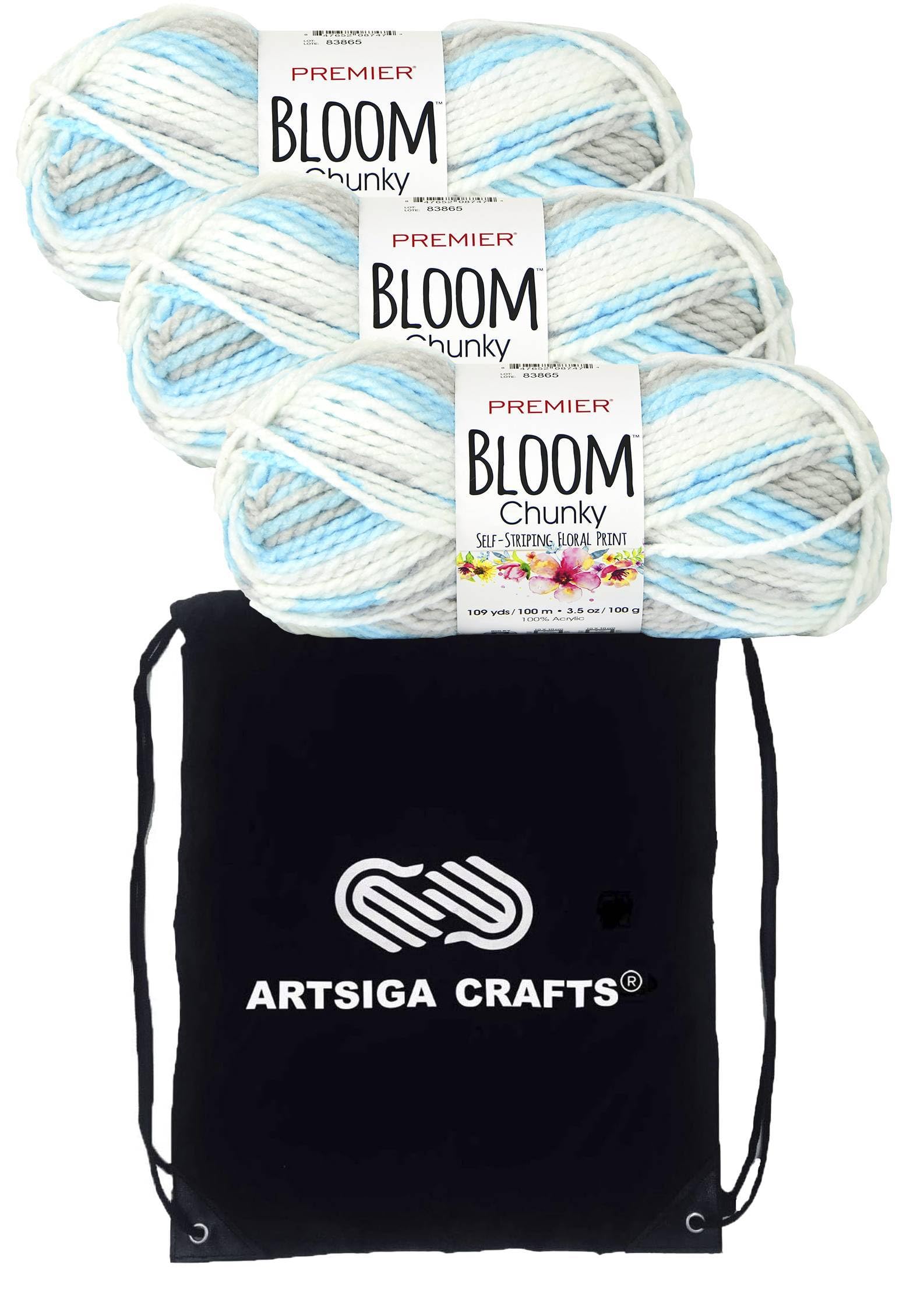 Hilo Chunky Bluebell Premier Yarns de 3 ovillos n°5 con bolsa Artsiga