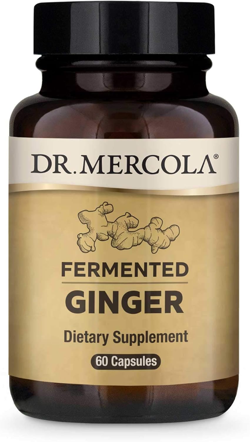 Dr. Mercola Fermented Ginger Beer, 0.5 Ounce : Health & Household