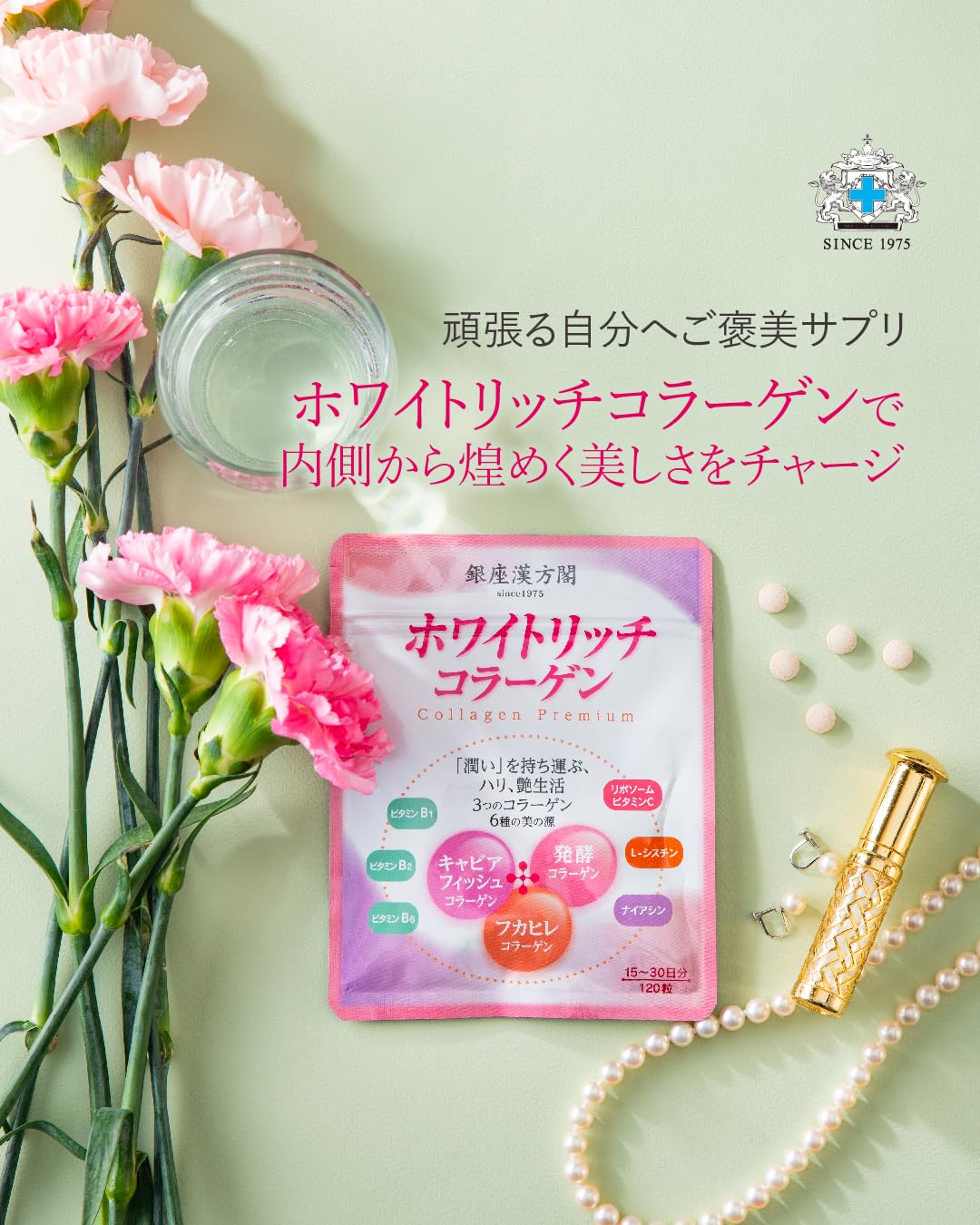 Amazon | 日本メディカルシステム 銀座漢方閣 ホワイトリッチ