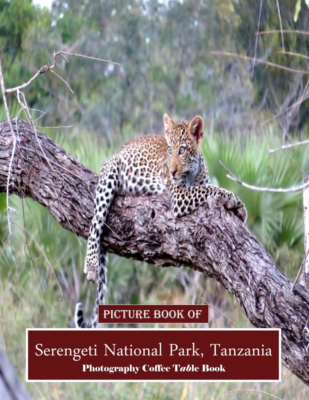 Serengeti National Park, Tanzania: Home to the Great Migration and a Diverse Array of Wildlife