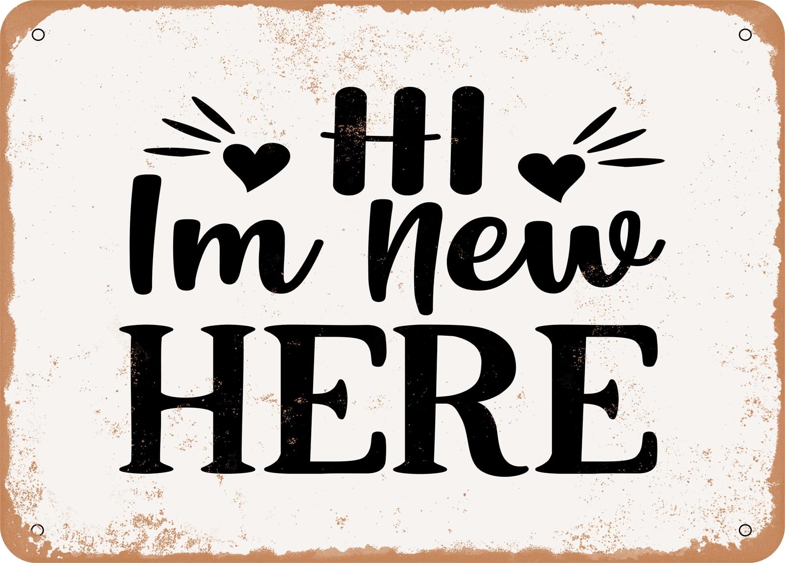 Metal Sign - Hi I'm New Here 2 - Vintage Look Sign home decor