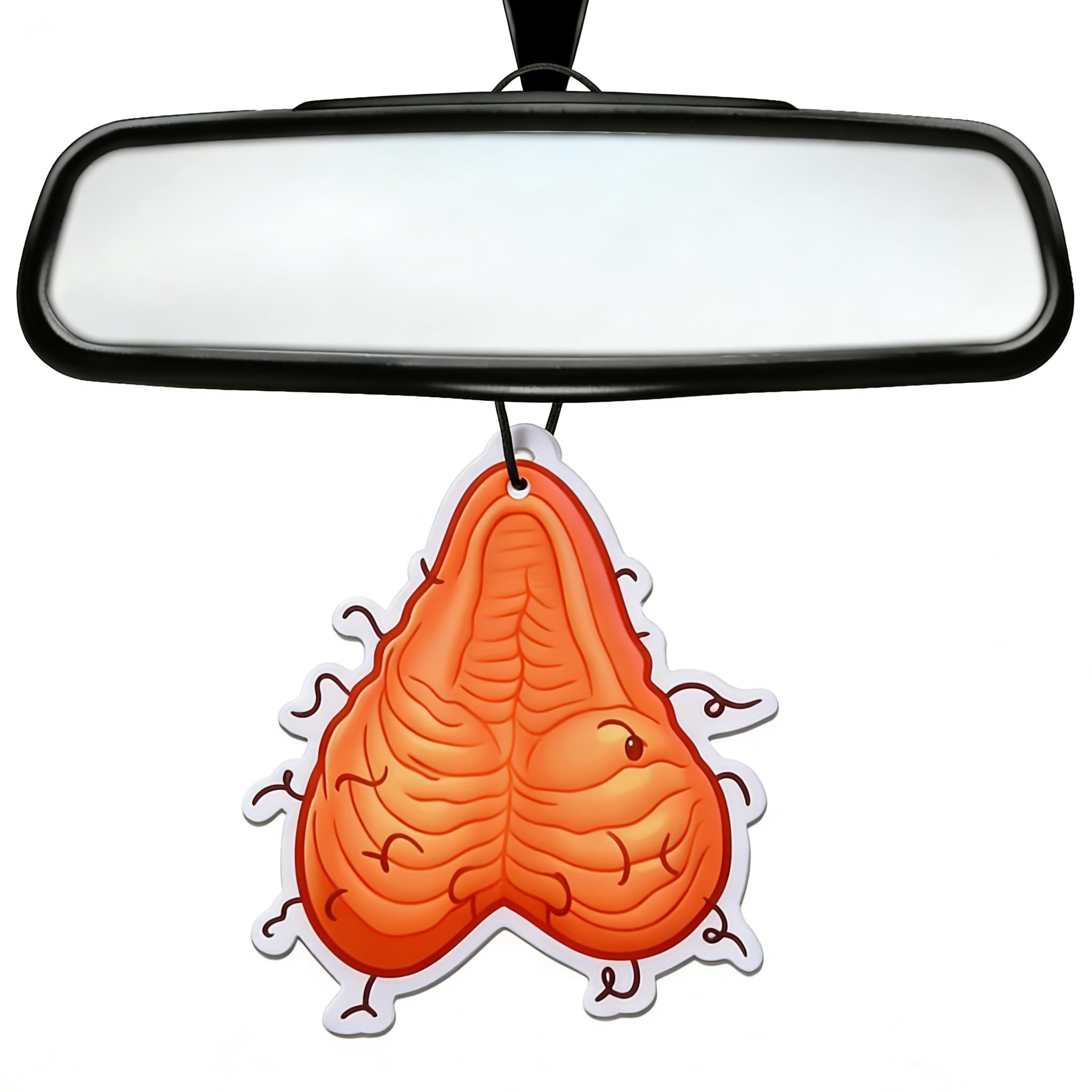 Funniest Gag Gifts for Men Adults Mom Wife Husband Girlfriend Dad Friend, Funny Gift White Elephant Gifts for Adults Men Christmas Stocking Stuffers for men women - Car Air Freshener (2, black ice)