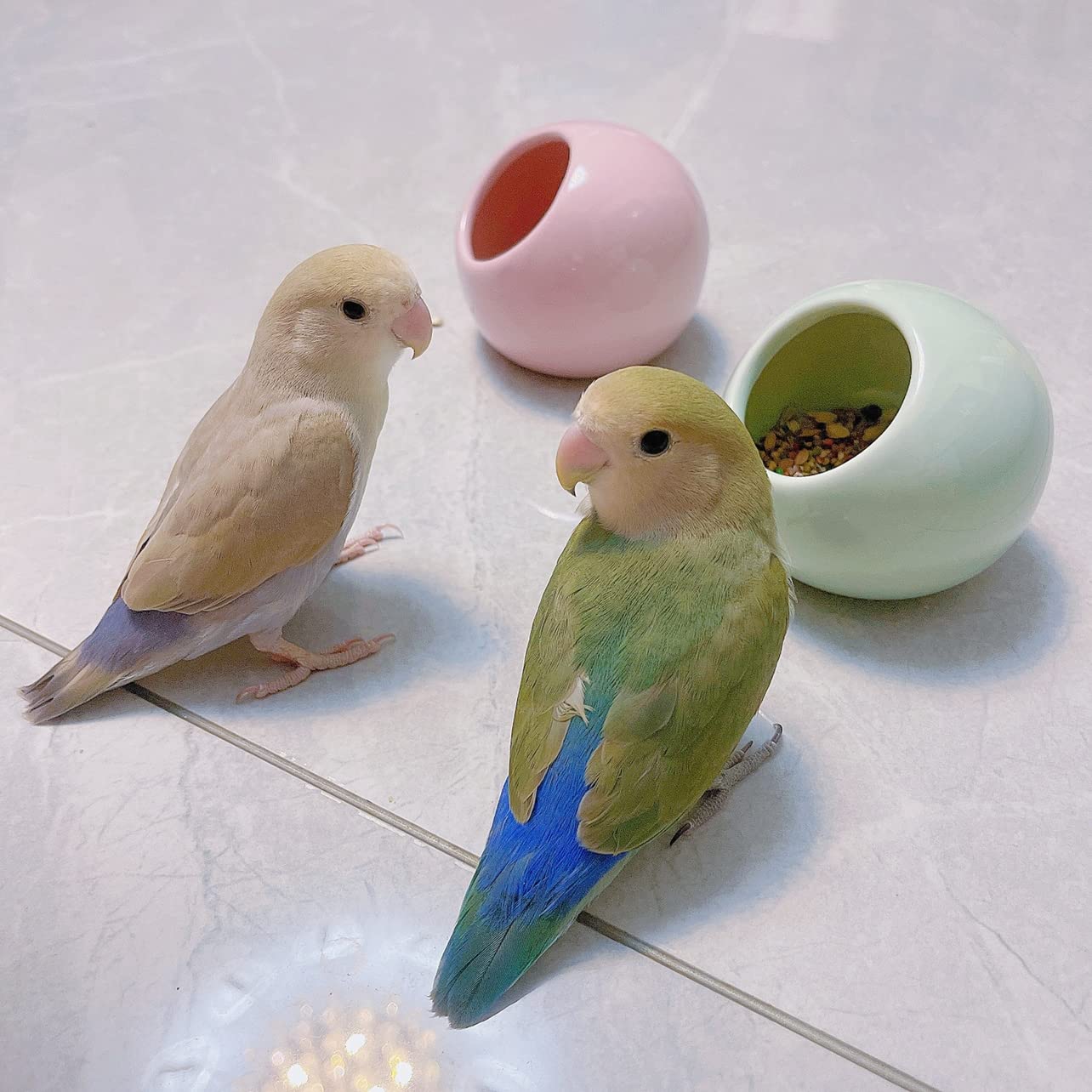 Keramik Futterspender Für Vögel & Kleintiere – Auslaufsicher, Leicht Zu Reinigen, Rosa Oder Grün