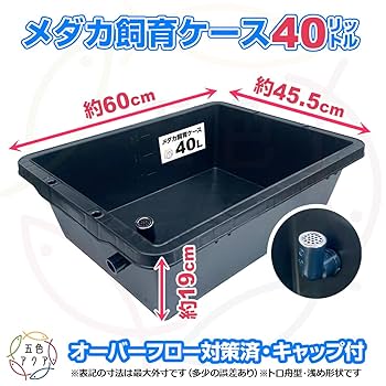 Amazon | 五色アクア メダカ飼育ケース 40リットル 黒