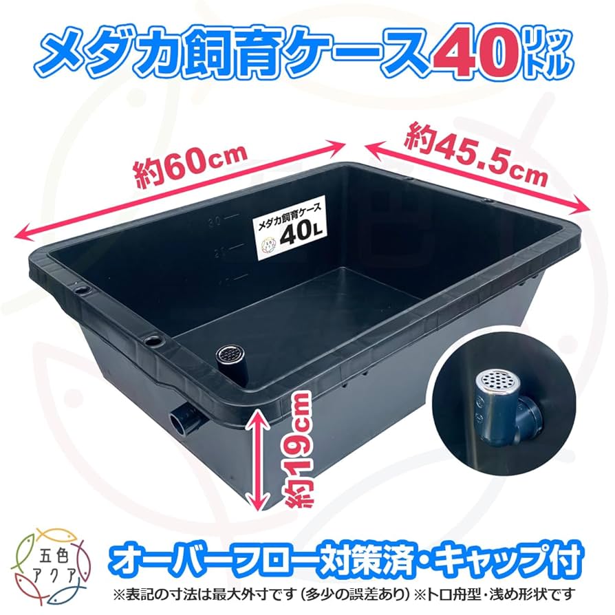 Amazon | 五色アクア メダカ飼育ケース 40リットル 黒