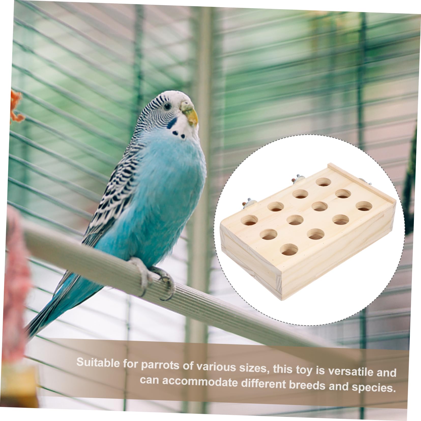 BESPORTBLE 5 Pièces Jouet de Recherche de Nourriture Perroquet Jouets pour déchiqueter Les Oiseaux à mâcher Bloc Oiseau de déchiquetage d'oiseaux en Bois s d'oiseaux