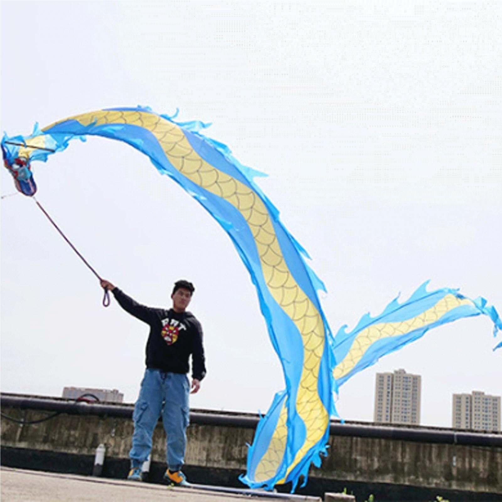 Drago Cinese per Feste Giocoleria con Nastro del Drago Gioca A Dragon Dance Streamer Testa di Esercizio Corda Feste Cinesi in Italia(Blue)