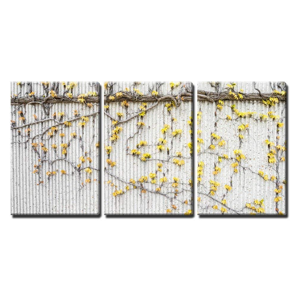 Amazon.com: wall26 - 3 Piece Canvas Wall Art - Vines with