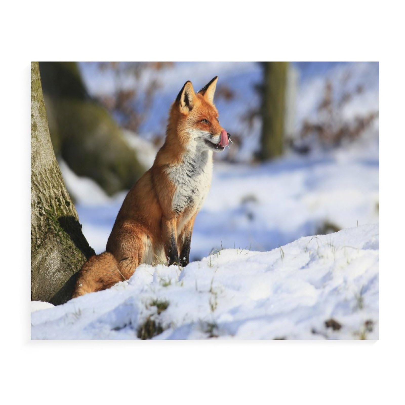 Jigsaw Puzzle 1000 Pieces - Fox Theme, Puzzles for Adults and Kids, Difficulty Game, Educational Toys, Family Decoration (50x70cm) - 108