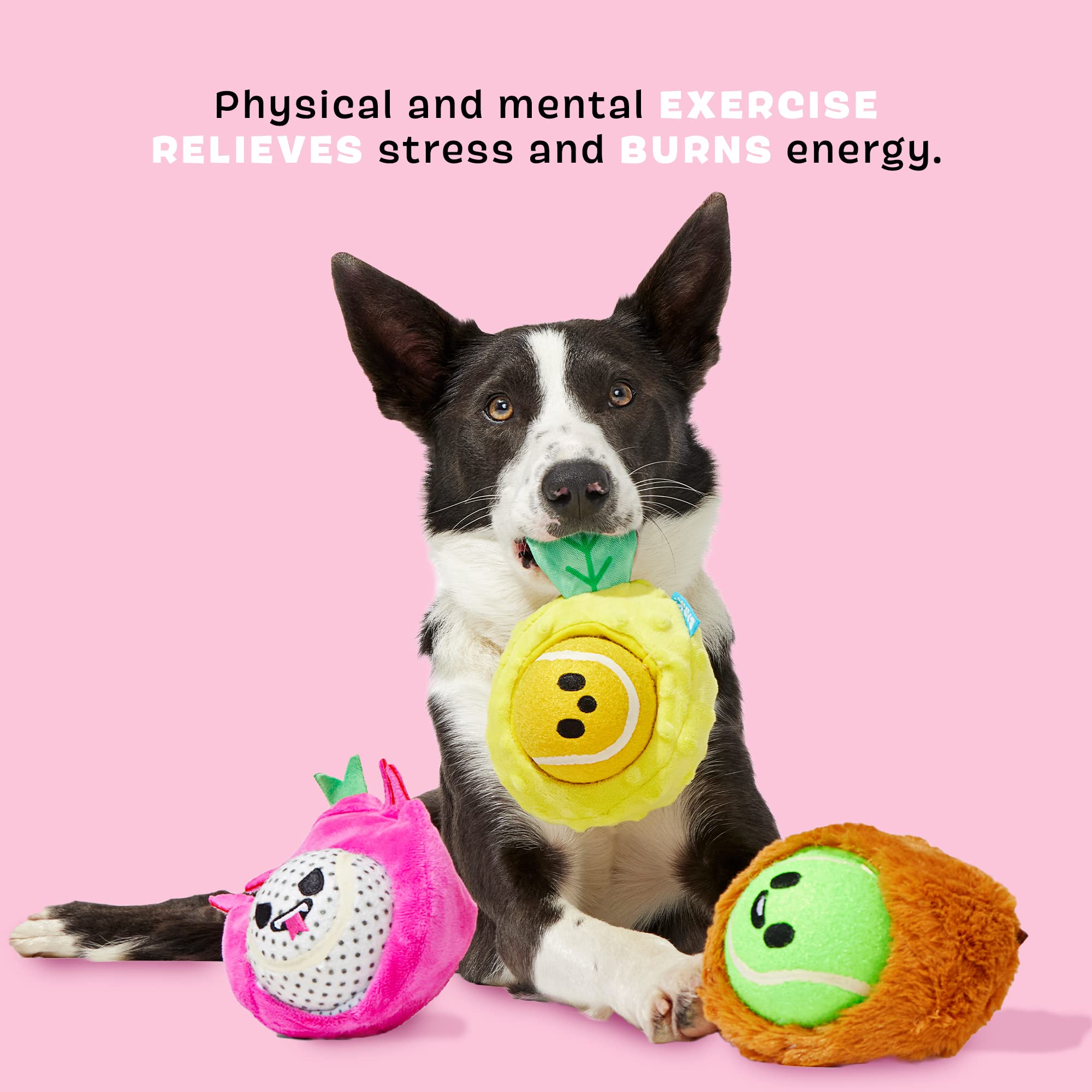 Barkbox Dog Toys Fruity Cutie Tropical Trio Squeaker