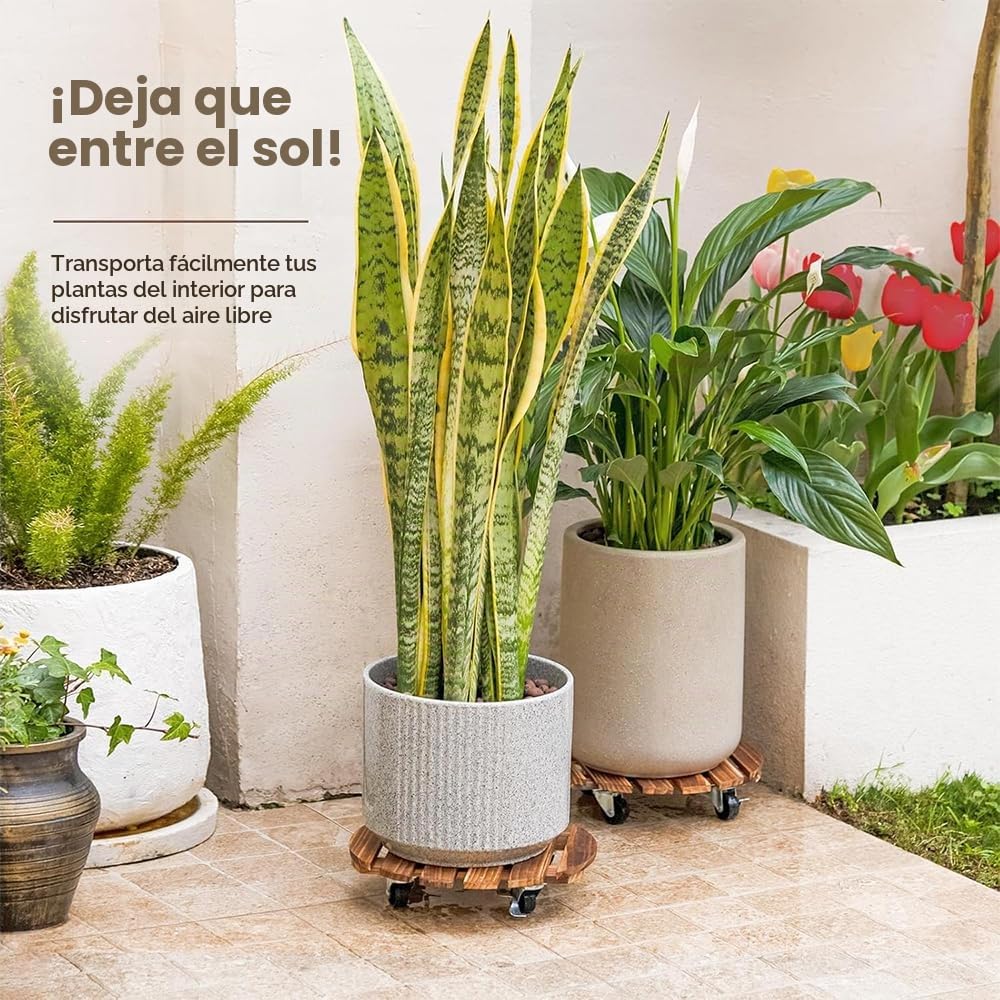 2 Piezas Base con Ruedas,Plataforma con Ruedas es Edondo-hasta 100 KG-30 * 30 CM Soporte con Ruedas para Macetas,Base con Ruedas para Macetas para Uso en Interiores y Exteriores