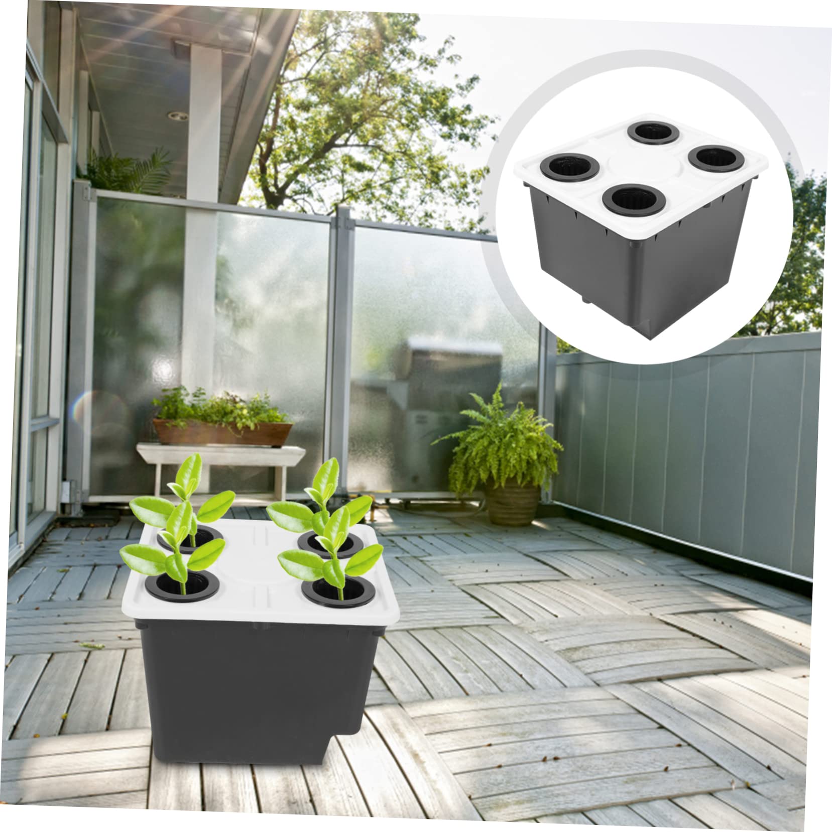 Gatuida Cubo para Cultivo Hidropónico sin Suelo Negro de PP, Estable y Práctico para Flores y Plantas Verdes en Invernadero