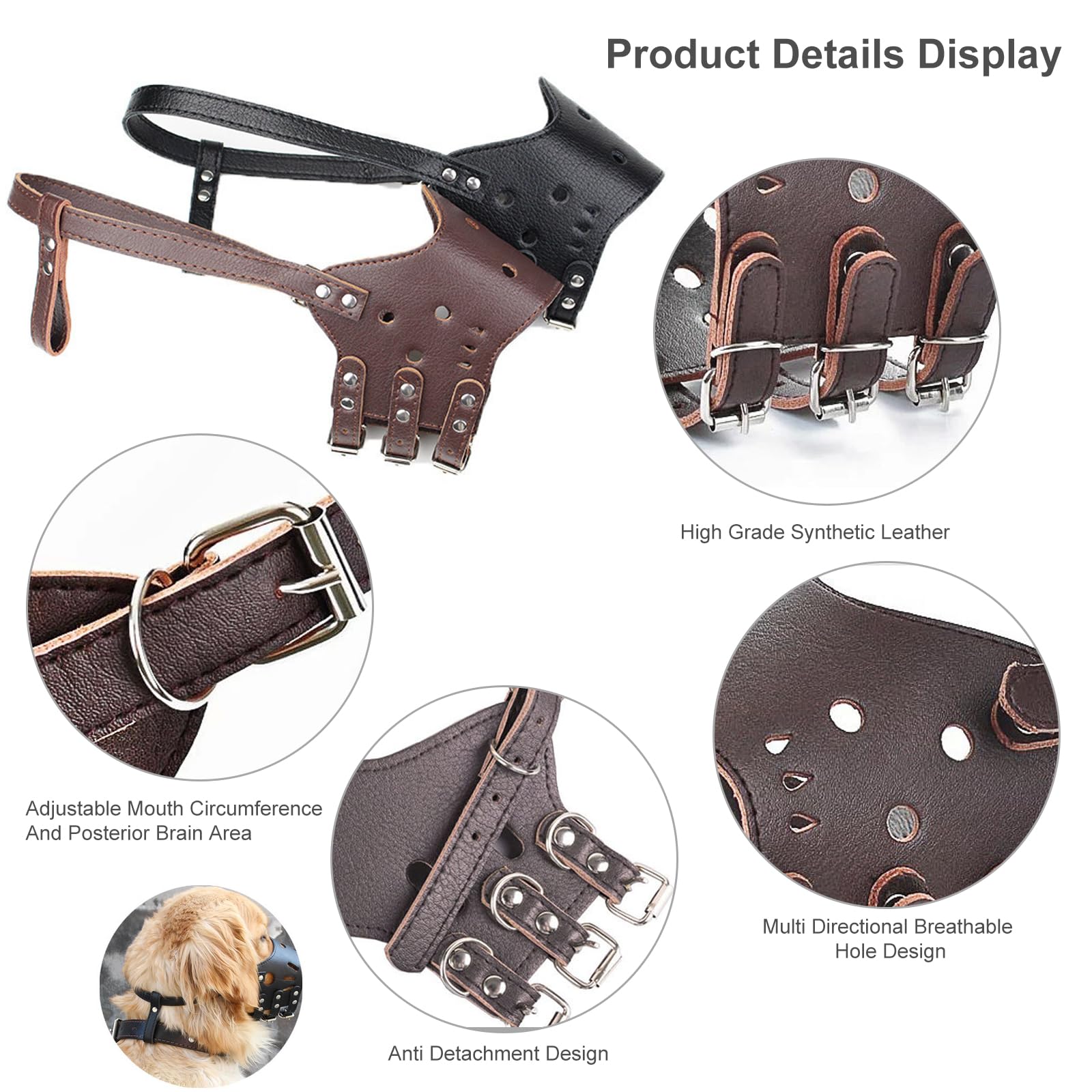 View 4