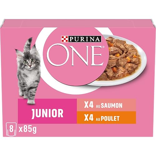 PURINA One Junior Chuletas en Salsa Sabores Surtidos Salmón y Pollo para Gatitos - Bolsas de Comida 8 x 85g