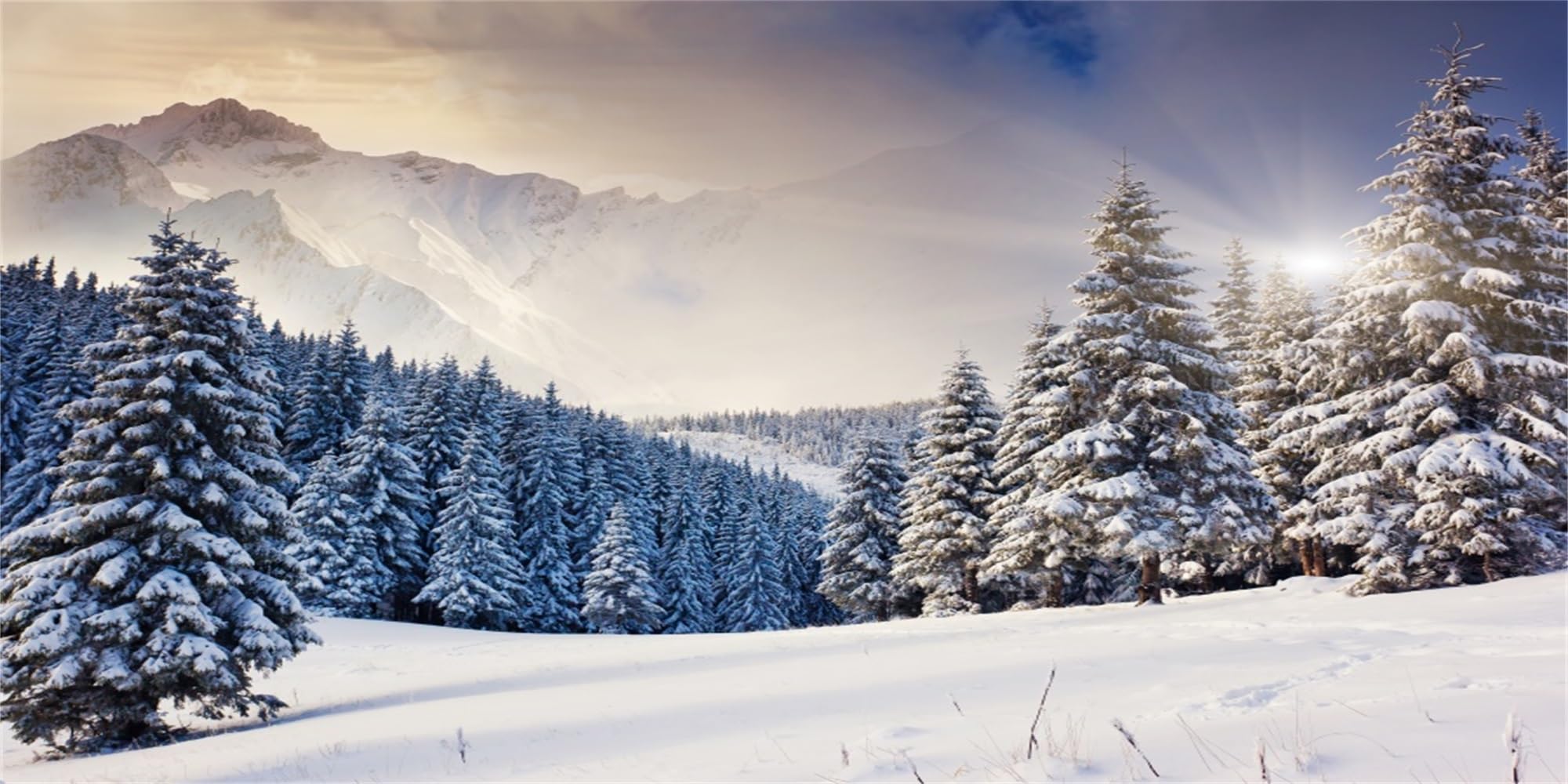 MIRRORANG 120x46cm Winter Wonderland Terrarium Background Snowy Mountain Forest Landscape Trees Fir Cedar Background Christmas New Year Vinyl Aquarium Background
