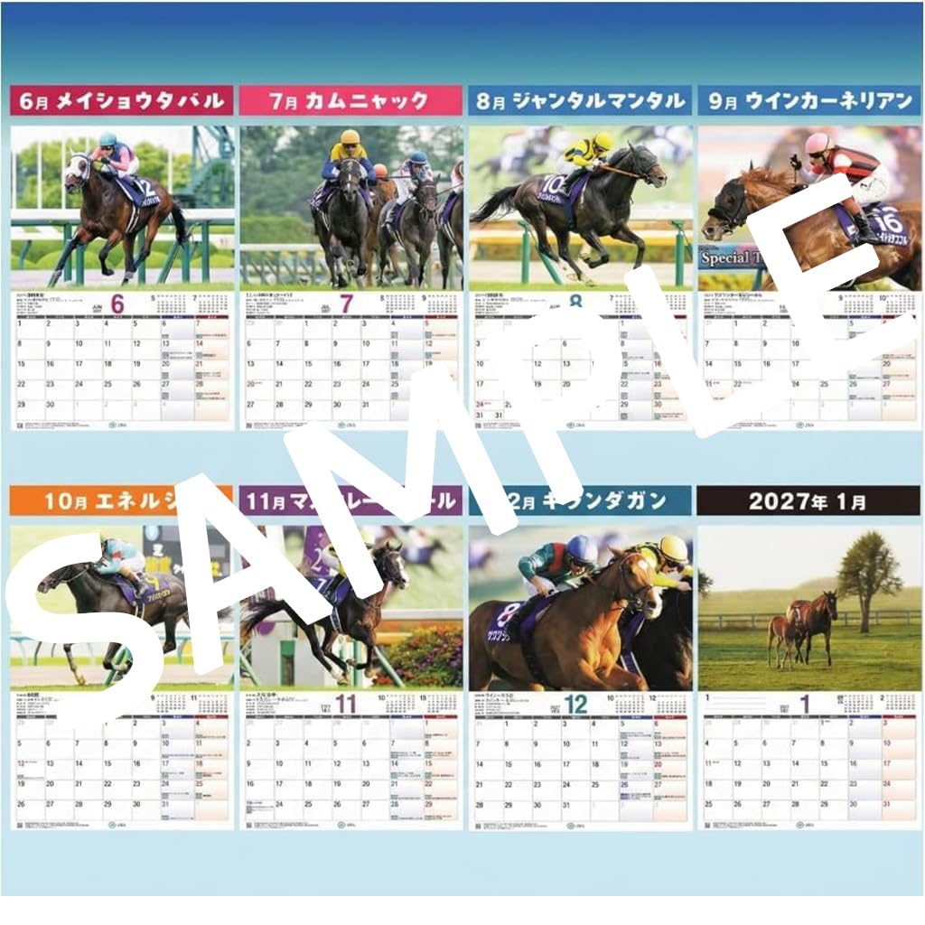 Amazon | 2026年 JRA カレンダー 令和8年版 中央競馬全開催日程/重賞