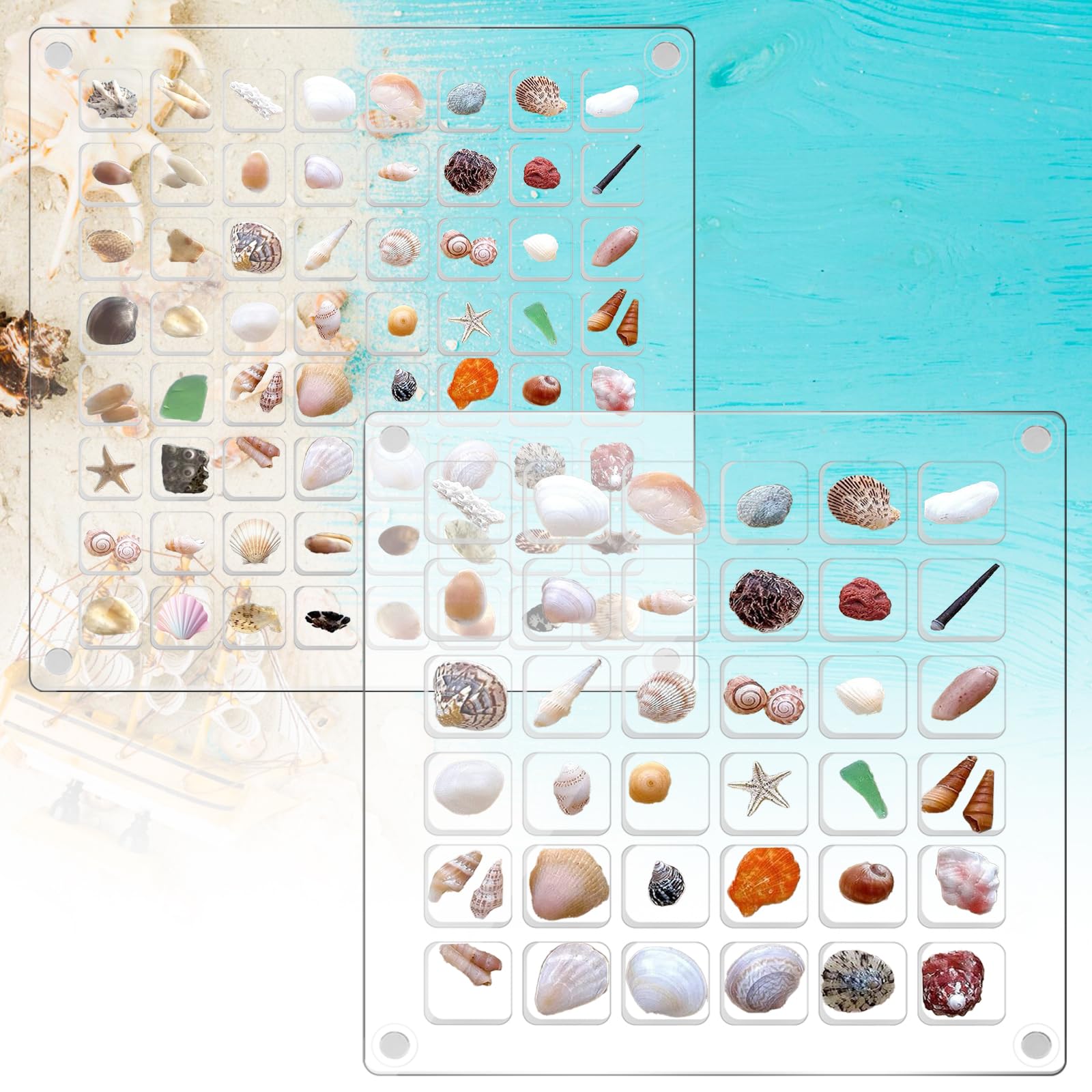 2 Scatoline Espositive Magnetiche In Acrilico A Forma Di Conchiglia - Per Mini Oggetti E Collezioni - Foto 7