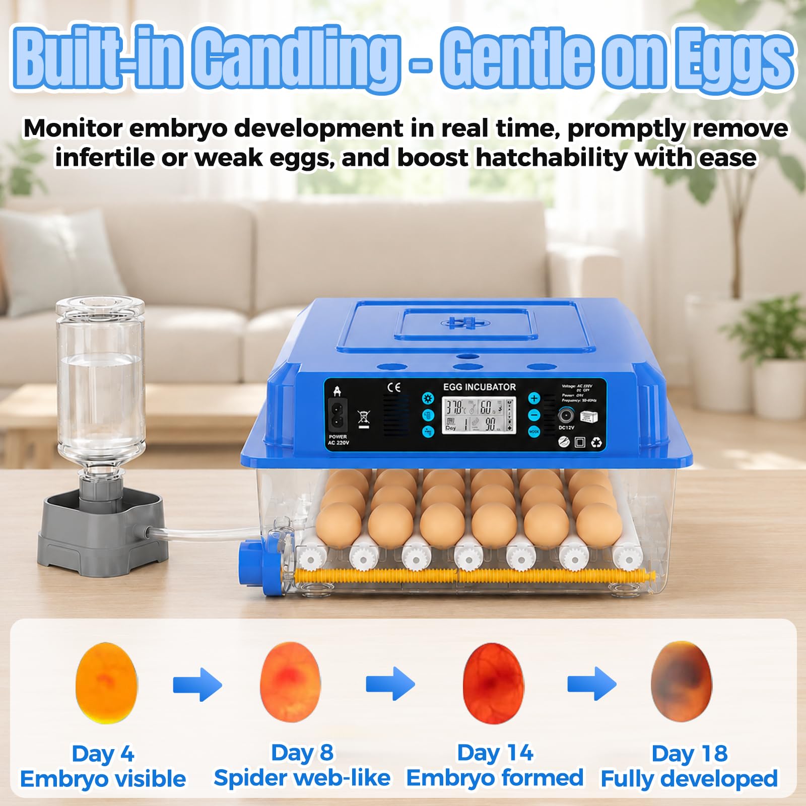 Incubadora de Huevos Automática para 36 Huevos Gallina - Control Automático deTemperatura/Humedad, Giro Automático y Fuente de Alimentación Dual, para Pato Codorniz