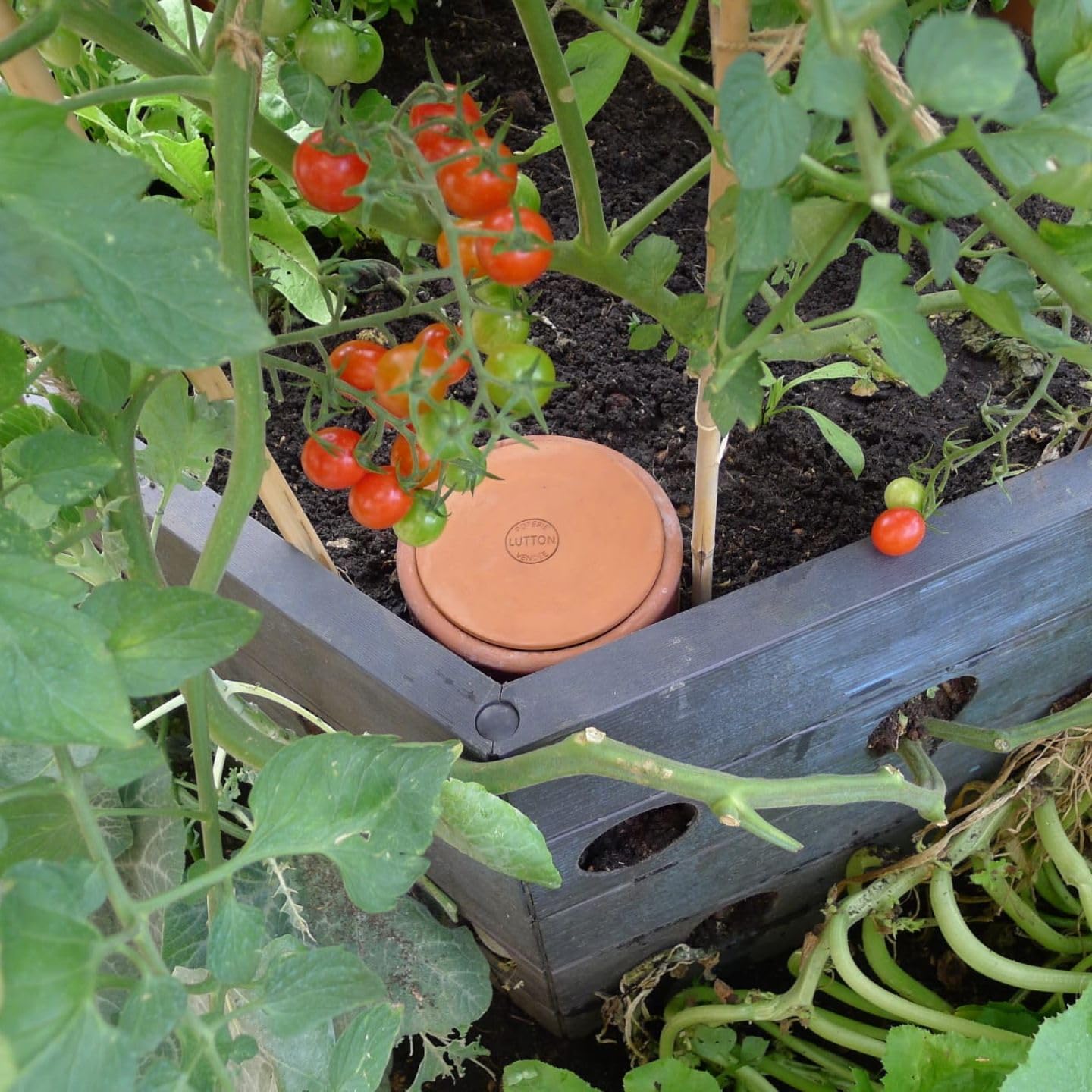Duo Ollas Tube 2L en Terre Cuite – Fabrication Française – Arrosage Autonome Écologique pour Potager, Jardin et Plantes – Irrigation Naturelle Jusqu’à 5 Jours