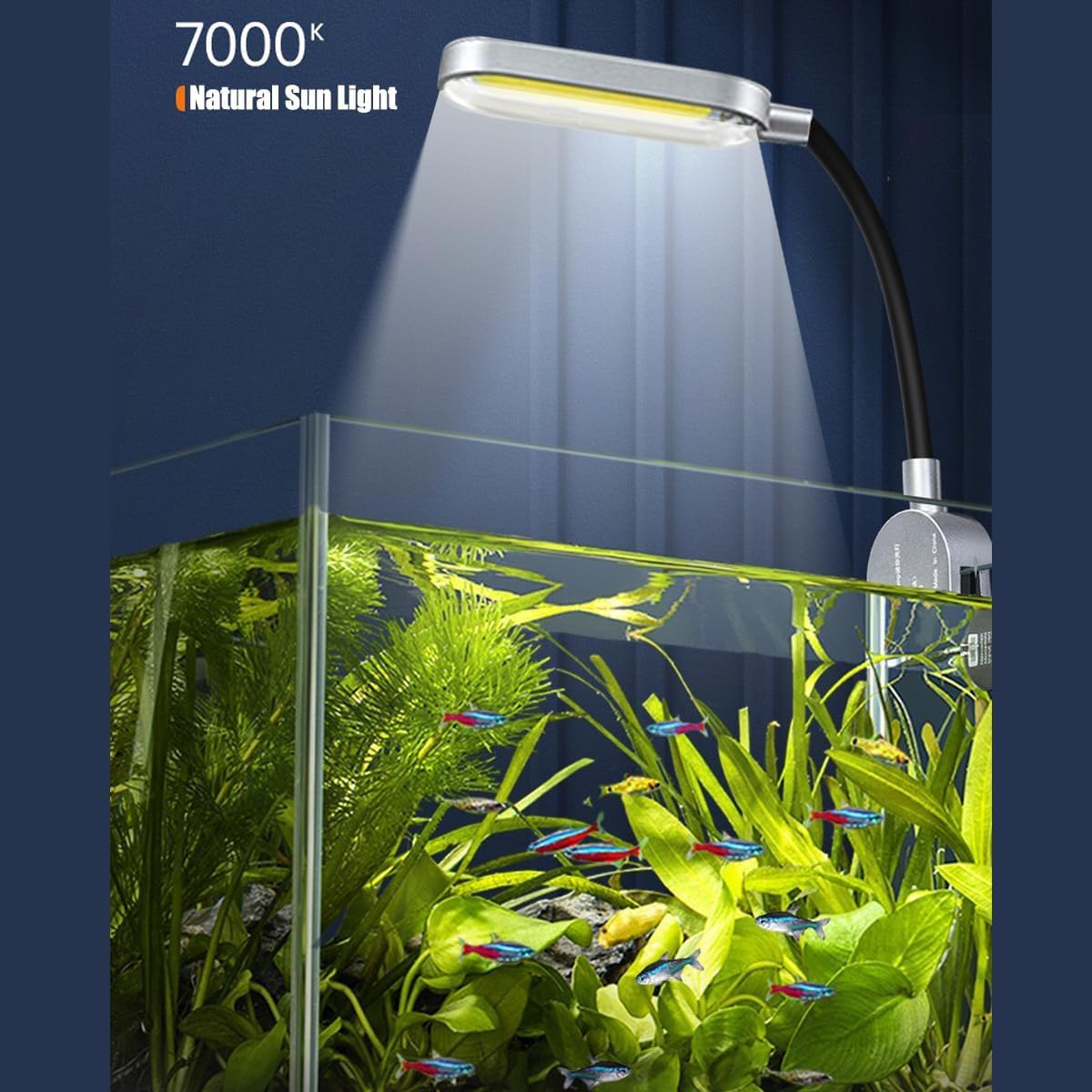 Kits de iniciación para peceras de 2.5 galones, con luz LED, bomba de filtro, cubierta, acuario pequeño Betta (30 x 18 x 20 cm)