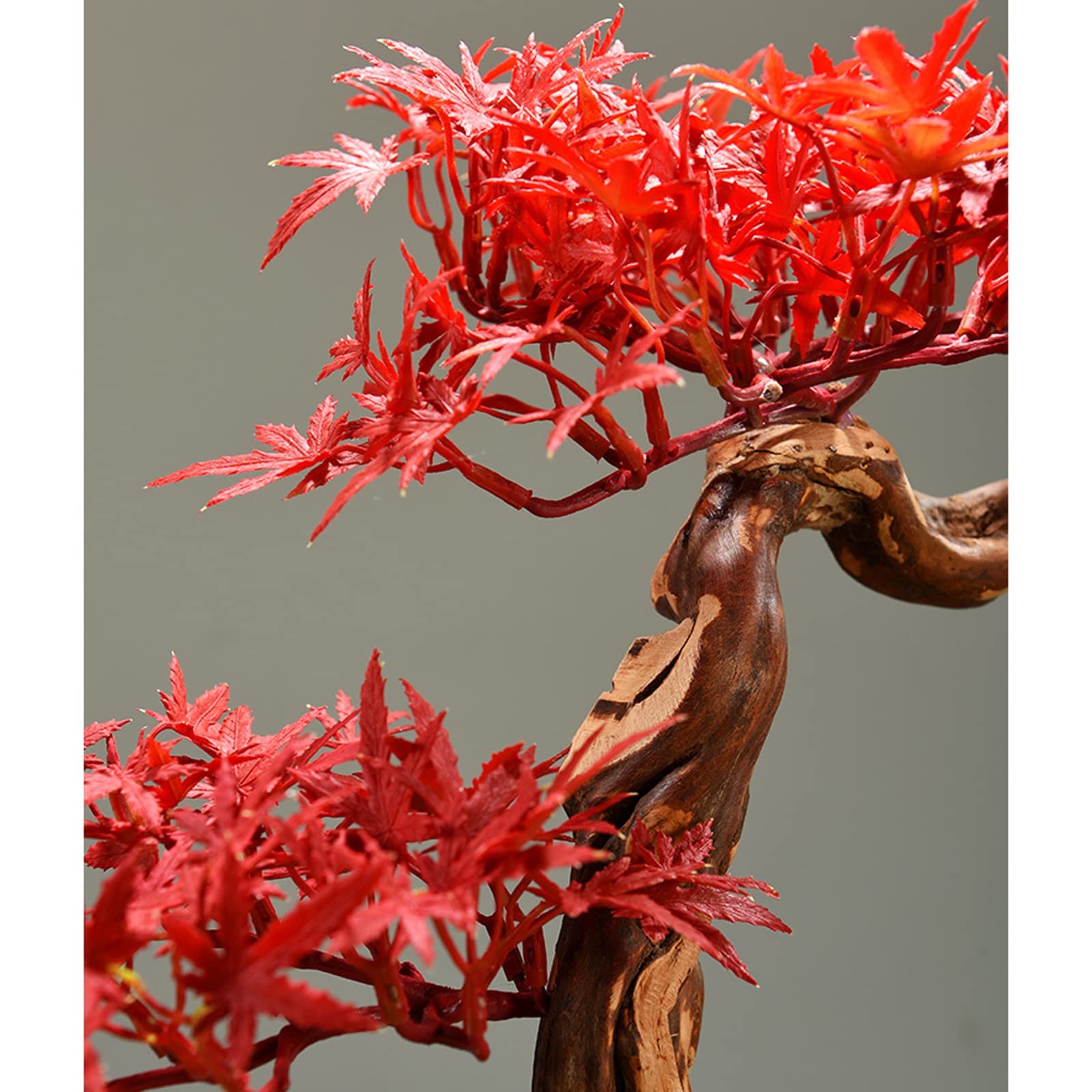 Bonsaiboom In Een Pot Van Klei Voor Decoratieve Planten, Te Koop Bij De Foto Van De Installatieverkoper Image89727863