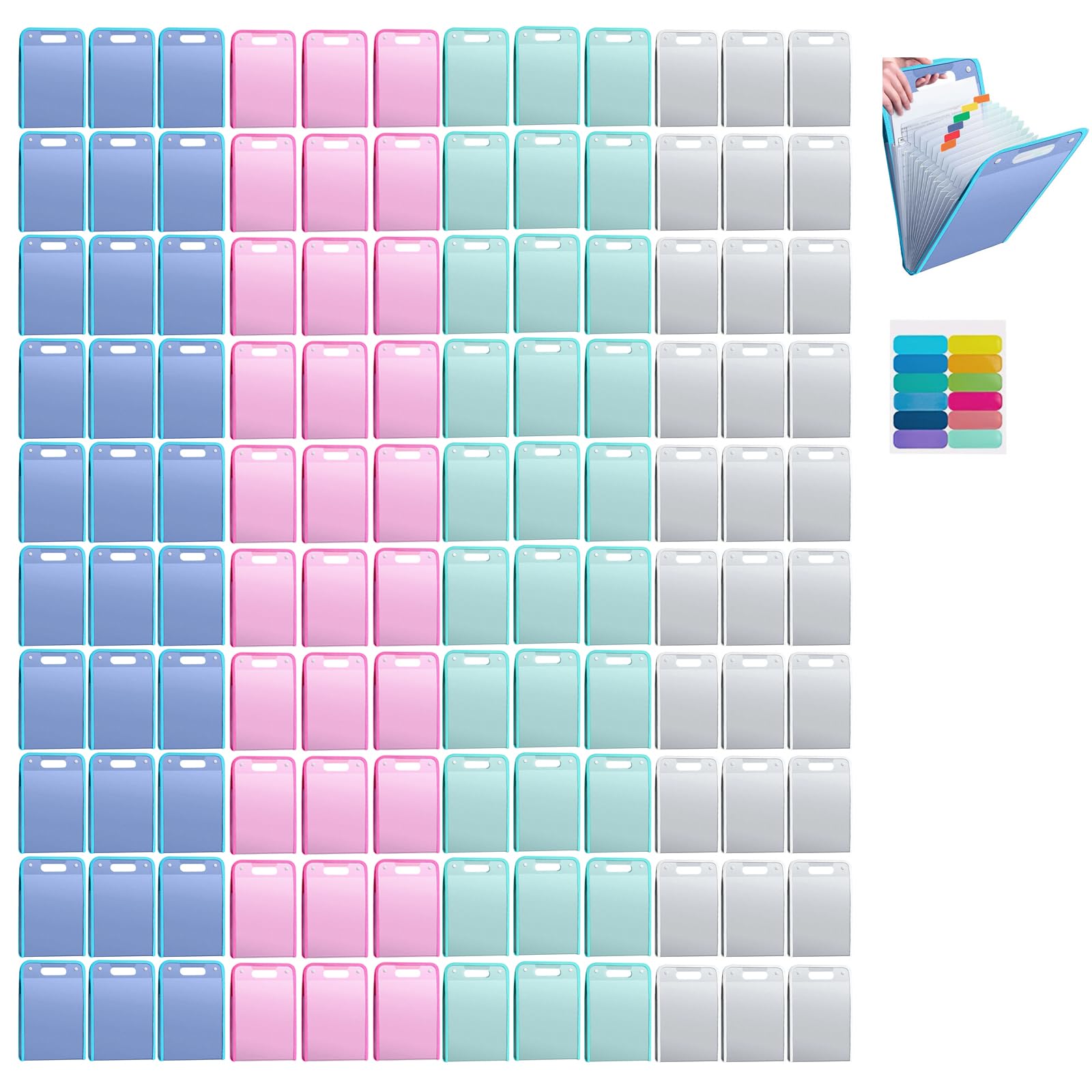 FäChermappe A4 13 FäCher, Dokumentenmappe A4,Sammelmappe mit Registerregistern,Schulbedarf,Document Organizer,zum Speichern von Informationen,Akten,BüRo,Document Organizer Travel (80, multicoloured)