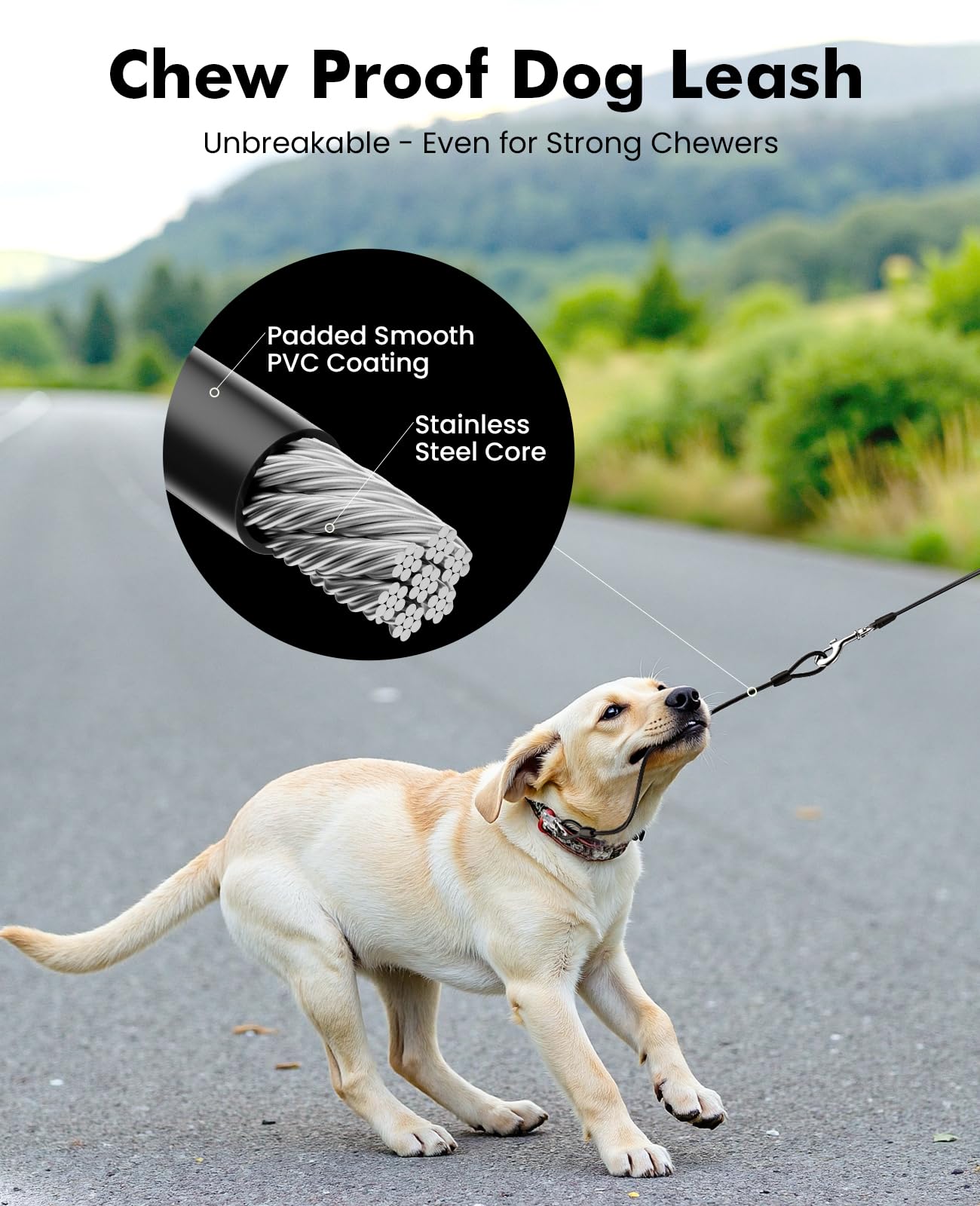 Pecute Guinzaglio per Cani Allungabile 8 metri con Corda Anti-morso da 46 cm, Guinzagli Retrattili con Sacchetti Igienici e Porta Sacchetti|Per Passeggiate/Addestramento/Pioggia, fino a 15-50 kg, Nero