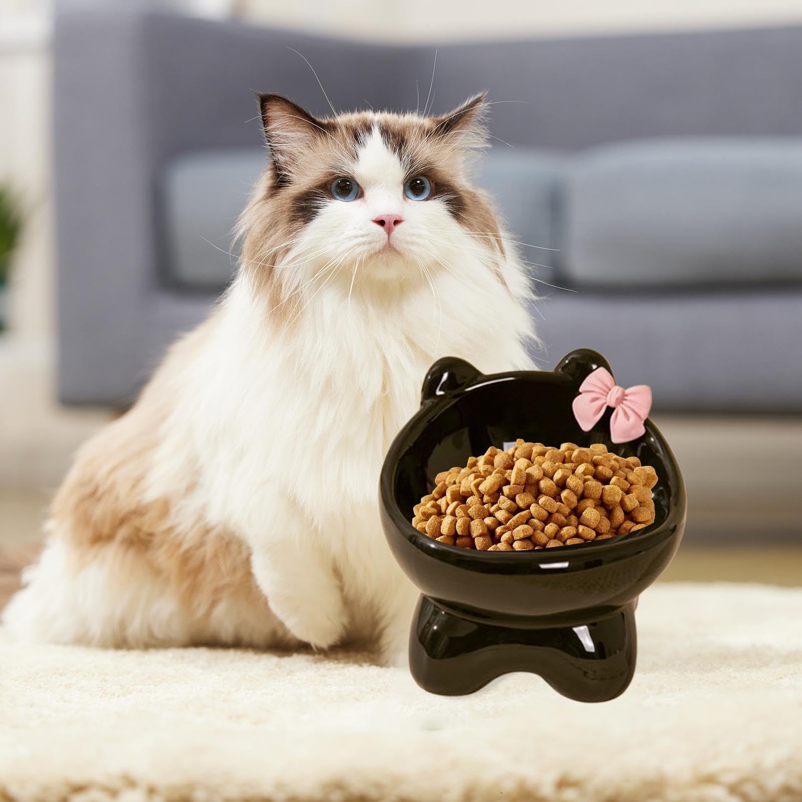 Karmnik dla zwierząt, Podwyższona ceramiczna miska dla kota, pochylona, ​​wysoka do karmienia psów, szczelny podajnik karmy kotów domowych i małych kociąt(Dark Grey Colour)