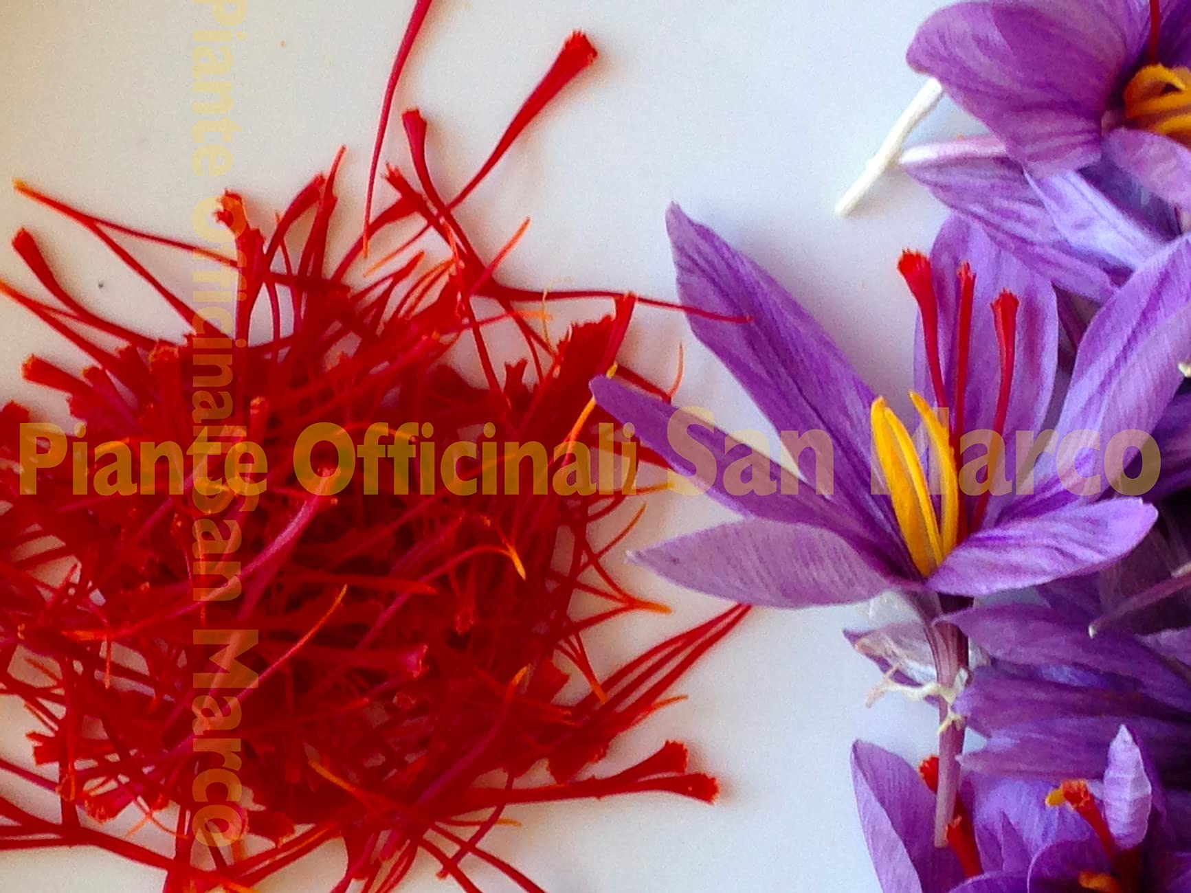 Officinali San Marco - Zafferano toscano biologico in pistilli delle Crete Senesi da 0,25g - 3 vasetti