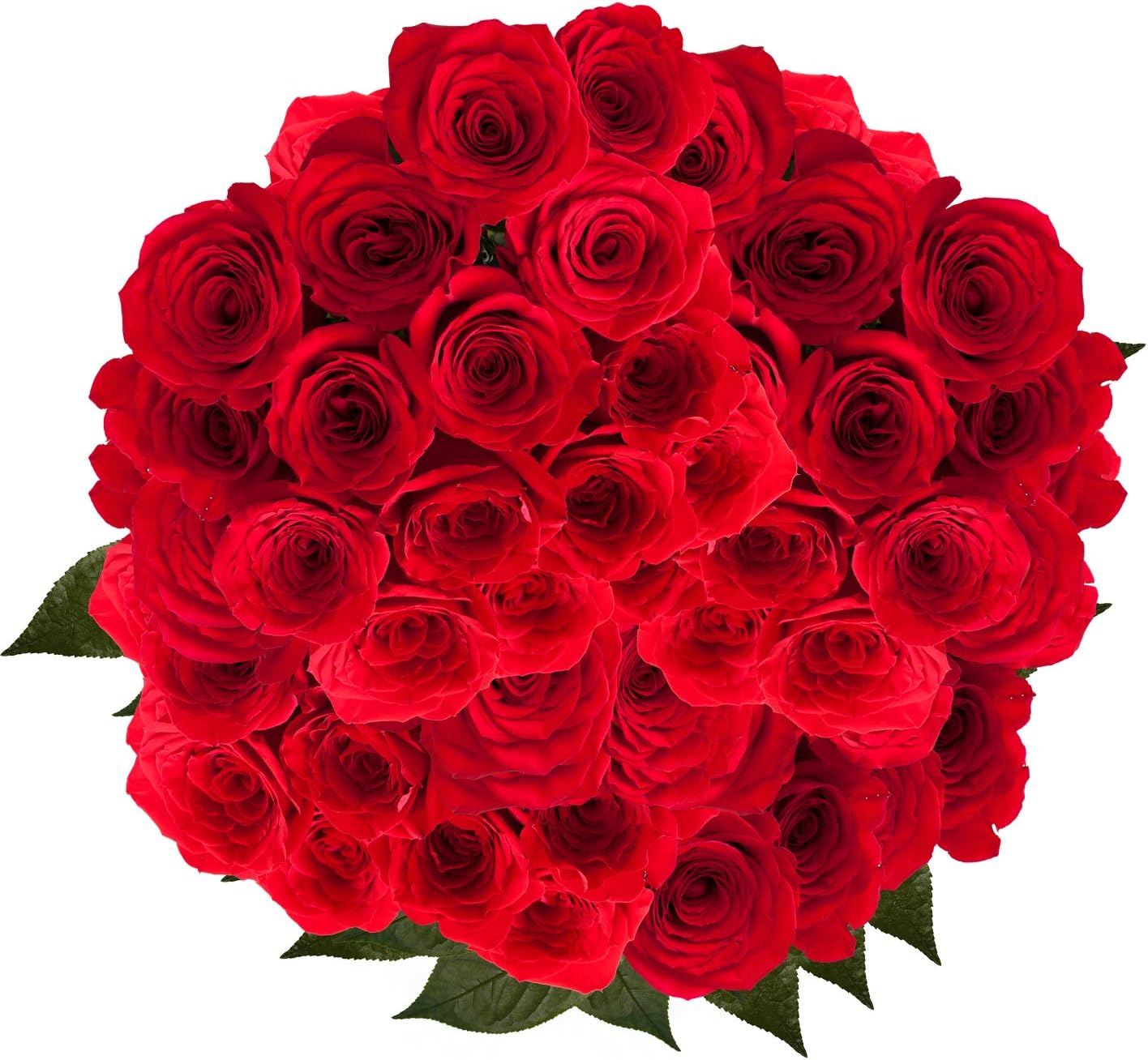 Red Roses- 50 Fresh Flowers- Beautiful Gift OM