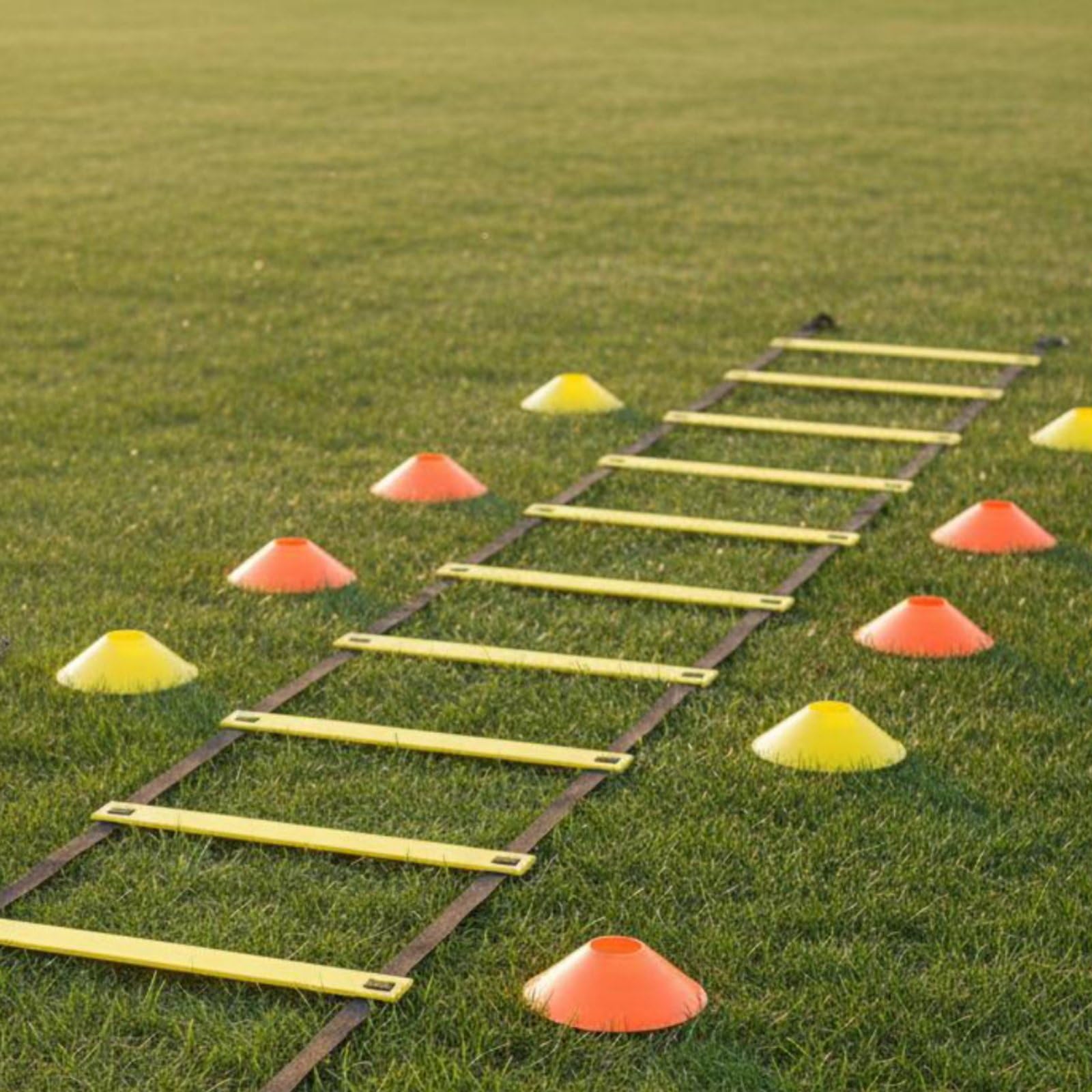 Generic Scaletta Agility Sportiva Kit Allenamento Velocità Coordinazione Rapidità Reattività con Coni E Corda Salto in PP E Cinghie Nylon Pioli Regolabili 12 Adatta a Calcio Basket Football Palestra